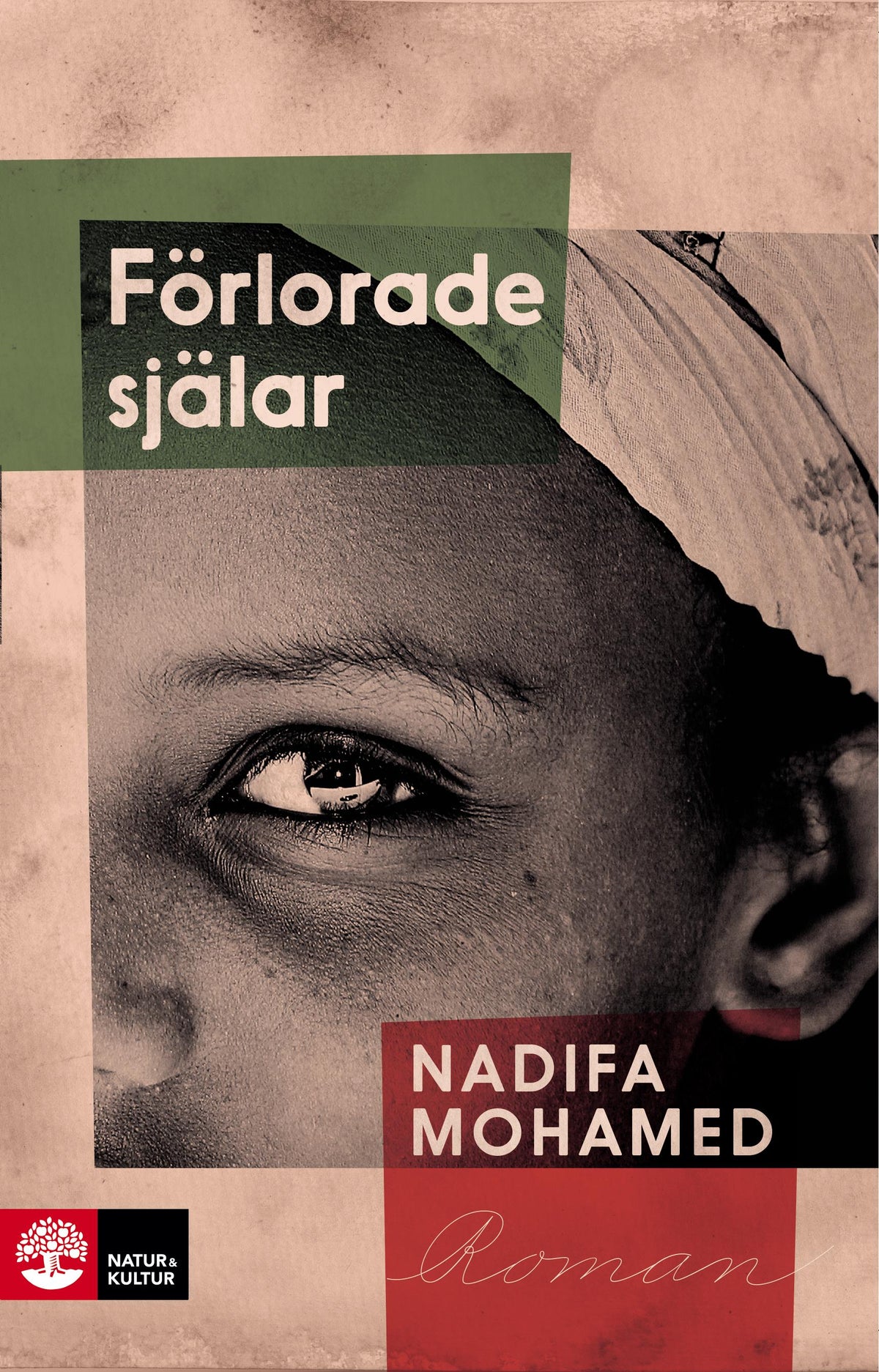 Förlorade själar – E-bok