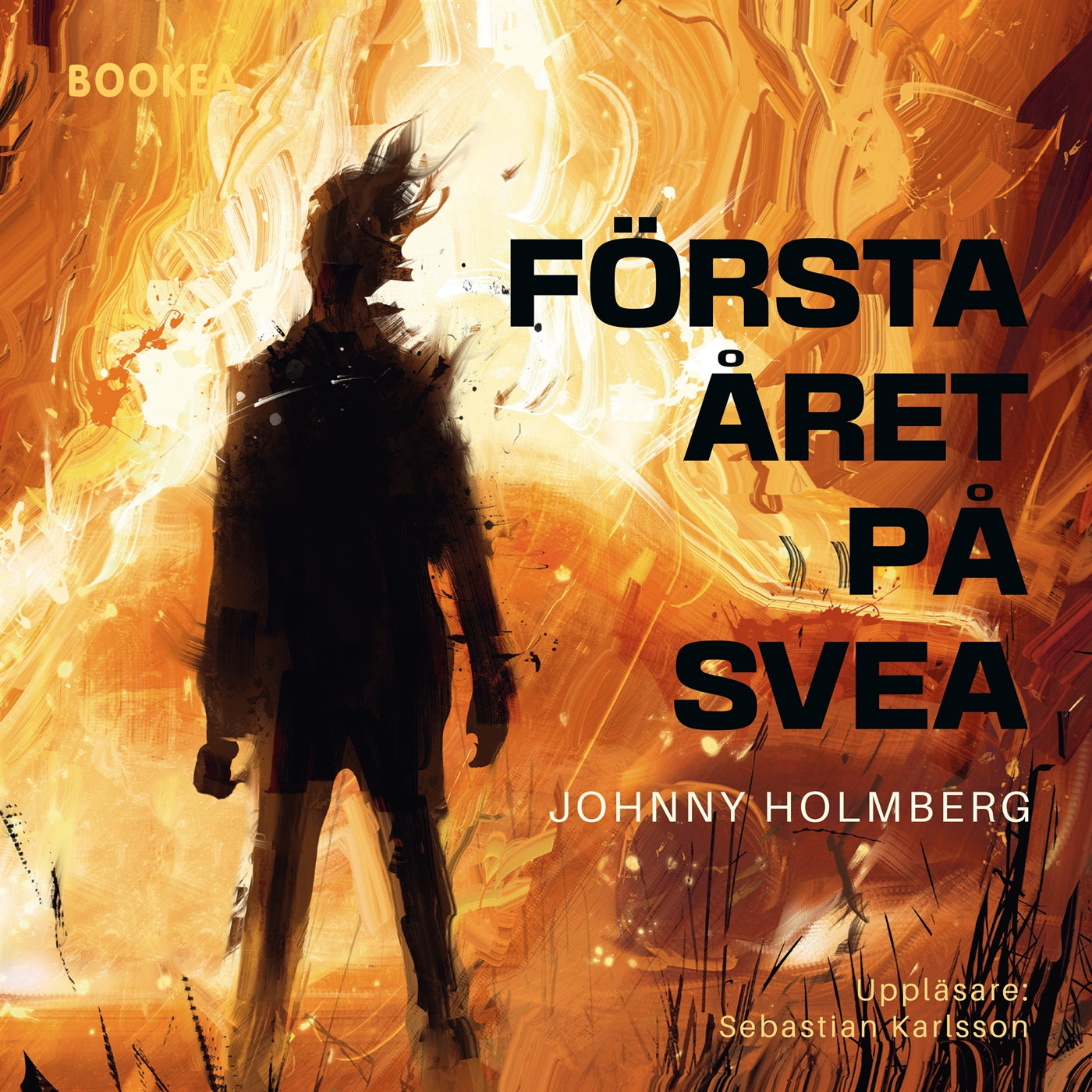 Första året på SVEA – Ljudbok