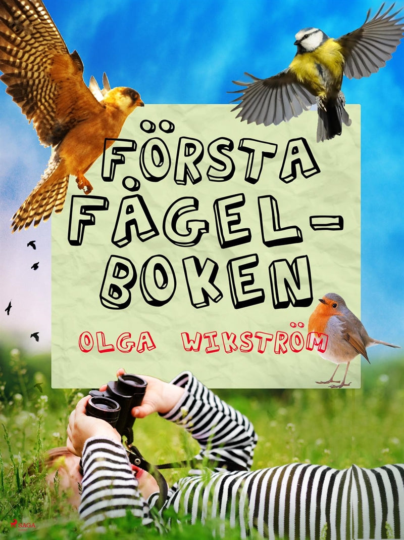 Första fågelboken – E-bok