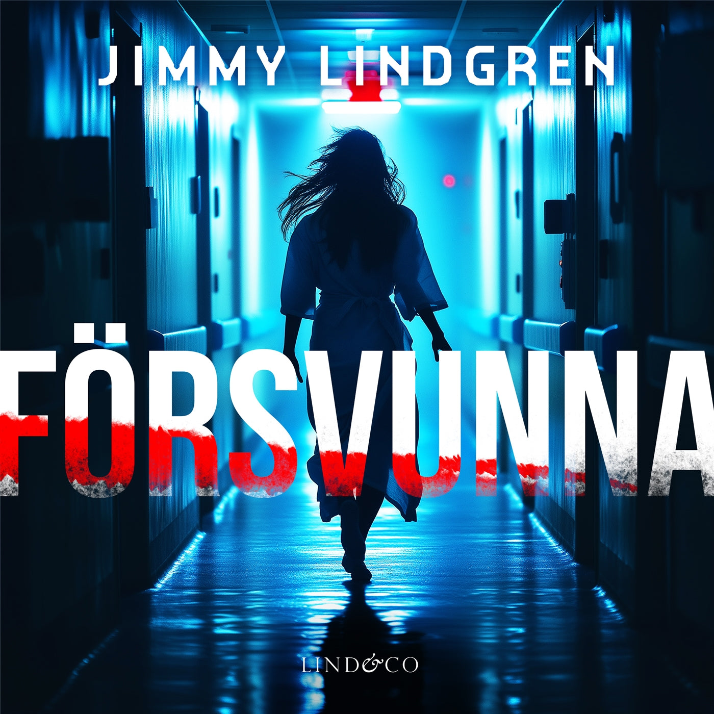 Försvunna – Ljudbok
