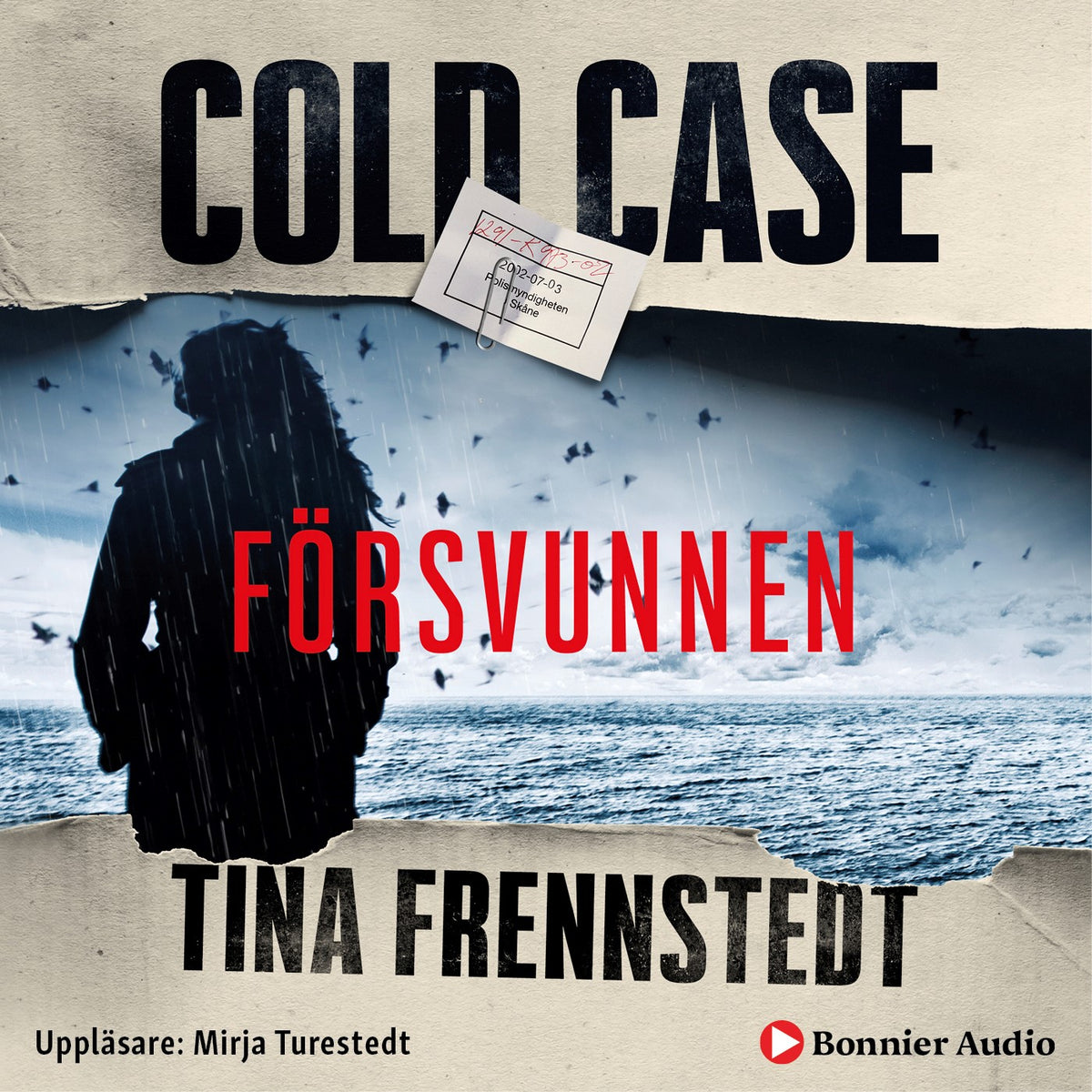 Försvunnen – Ljudbok