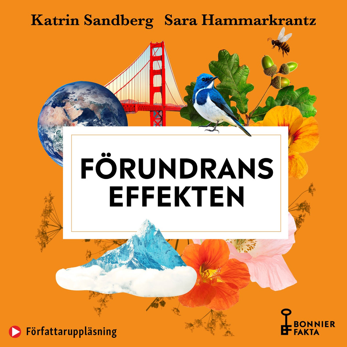 Förundranseffekten : om allt ifrån solnedgångars läkande kraft till känslan av att tiden räcker till - forskning, fakta och stora upplevelser – Ljudbok