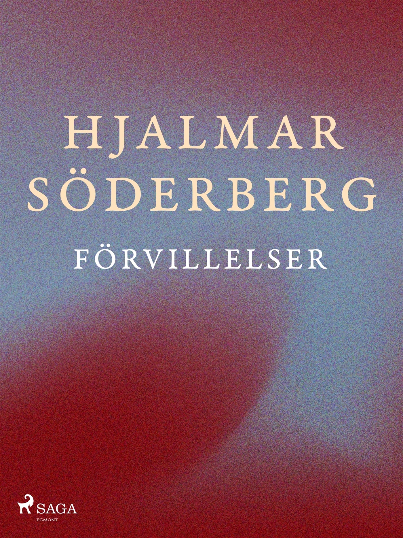Förvillelser – E-bok