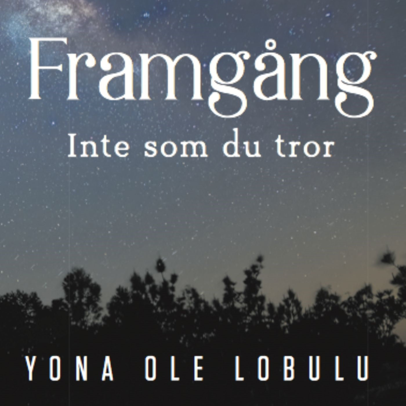 Framgång - Inte som du tror – Ljudbok
