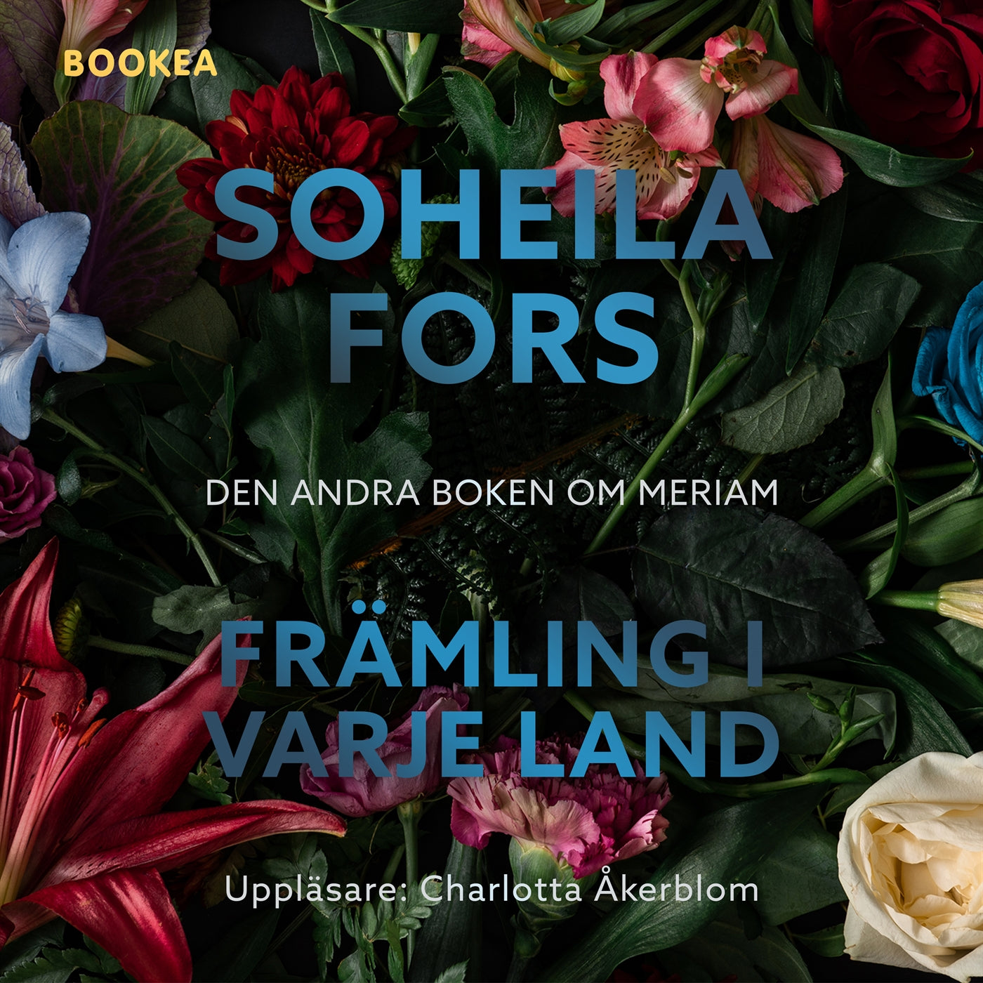 Främling i varje land – Ljudbok