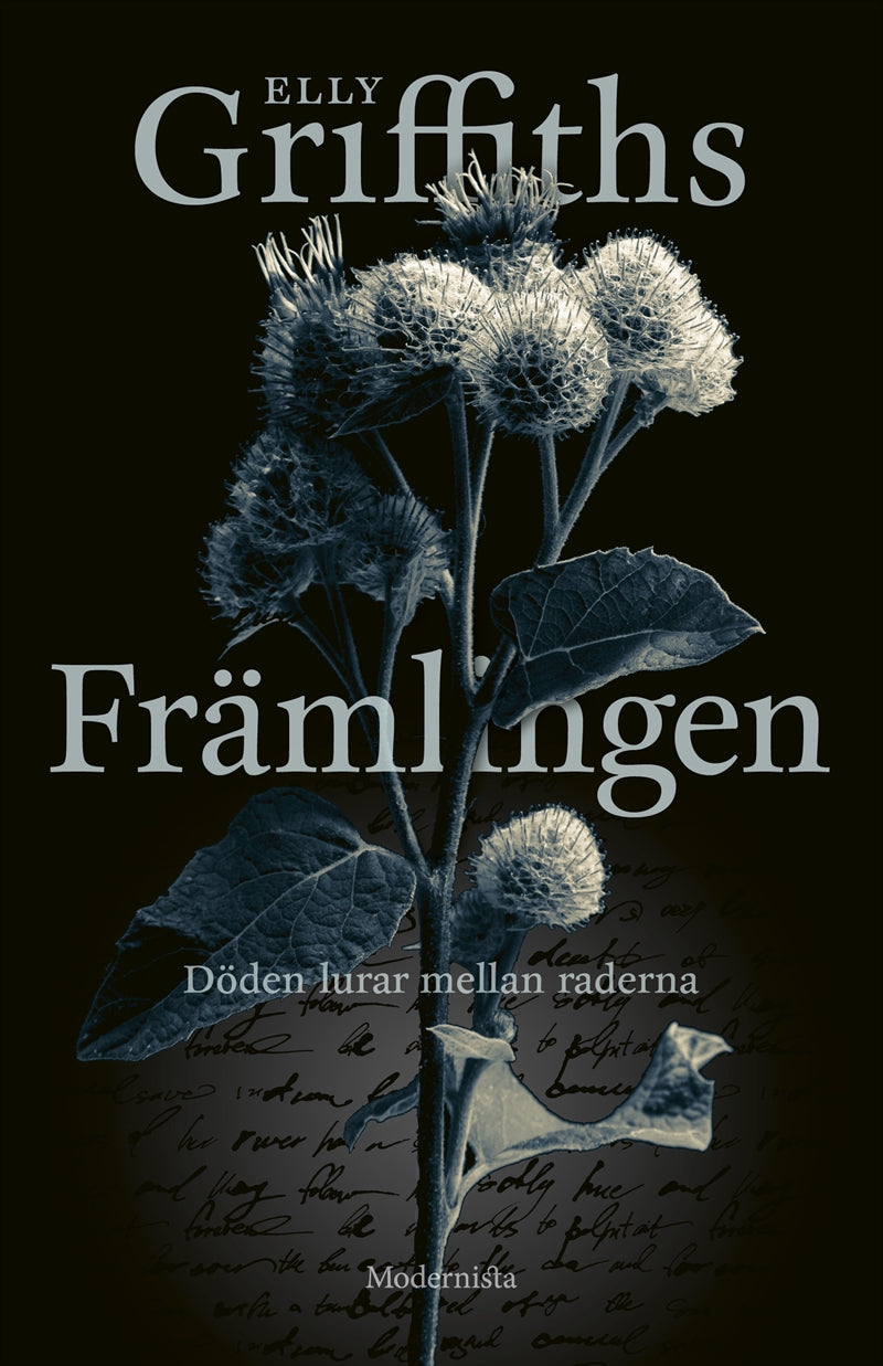 Främlingen – E-bok