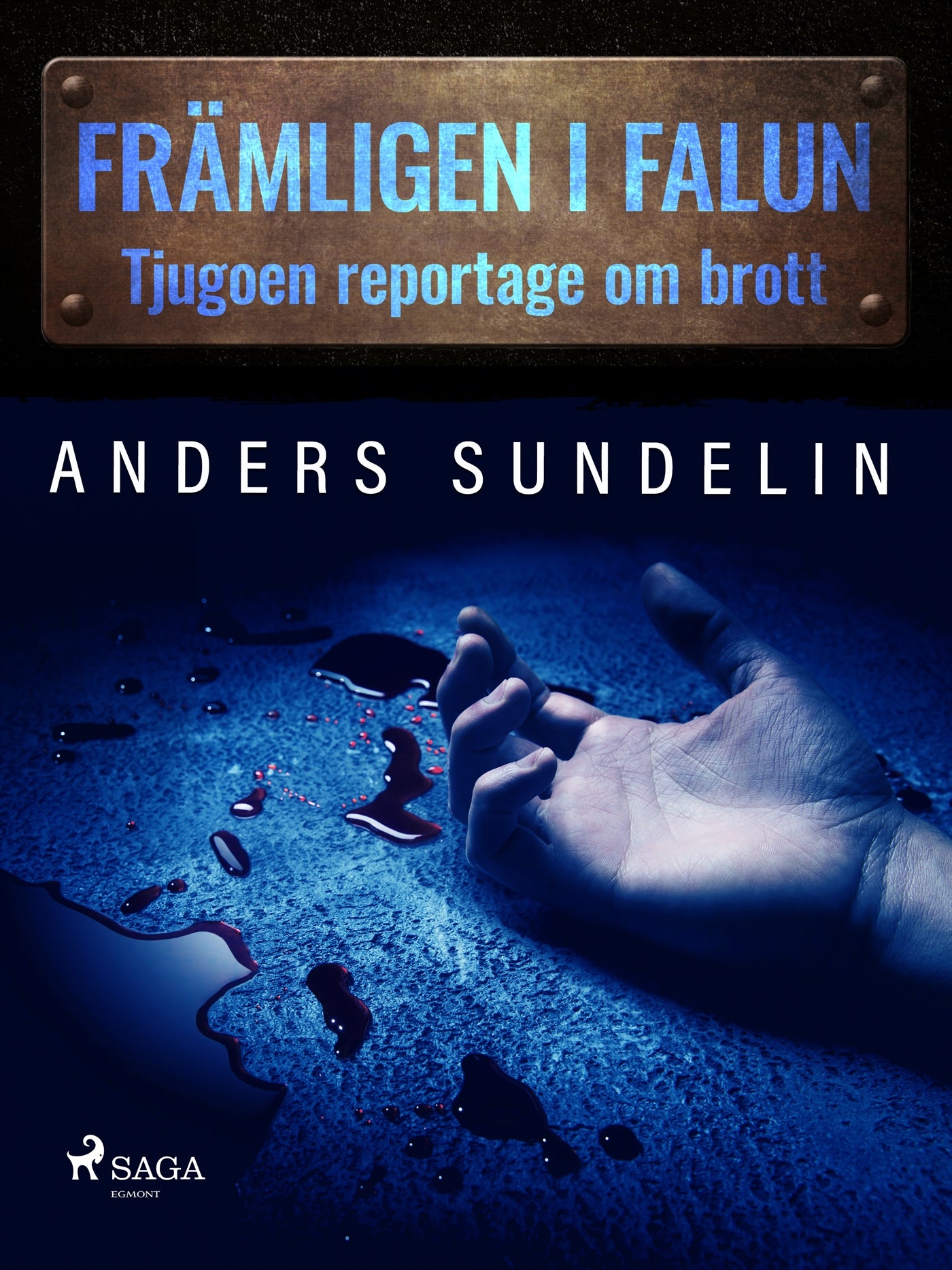 Främlingen i Falun: tjugoen reportage om brott – E-bok