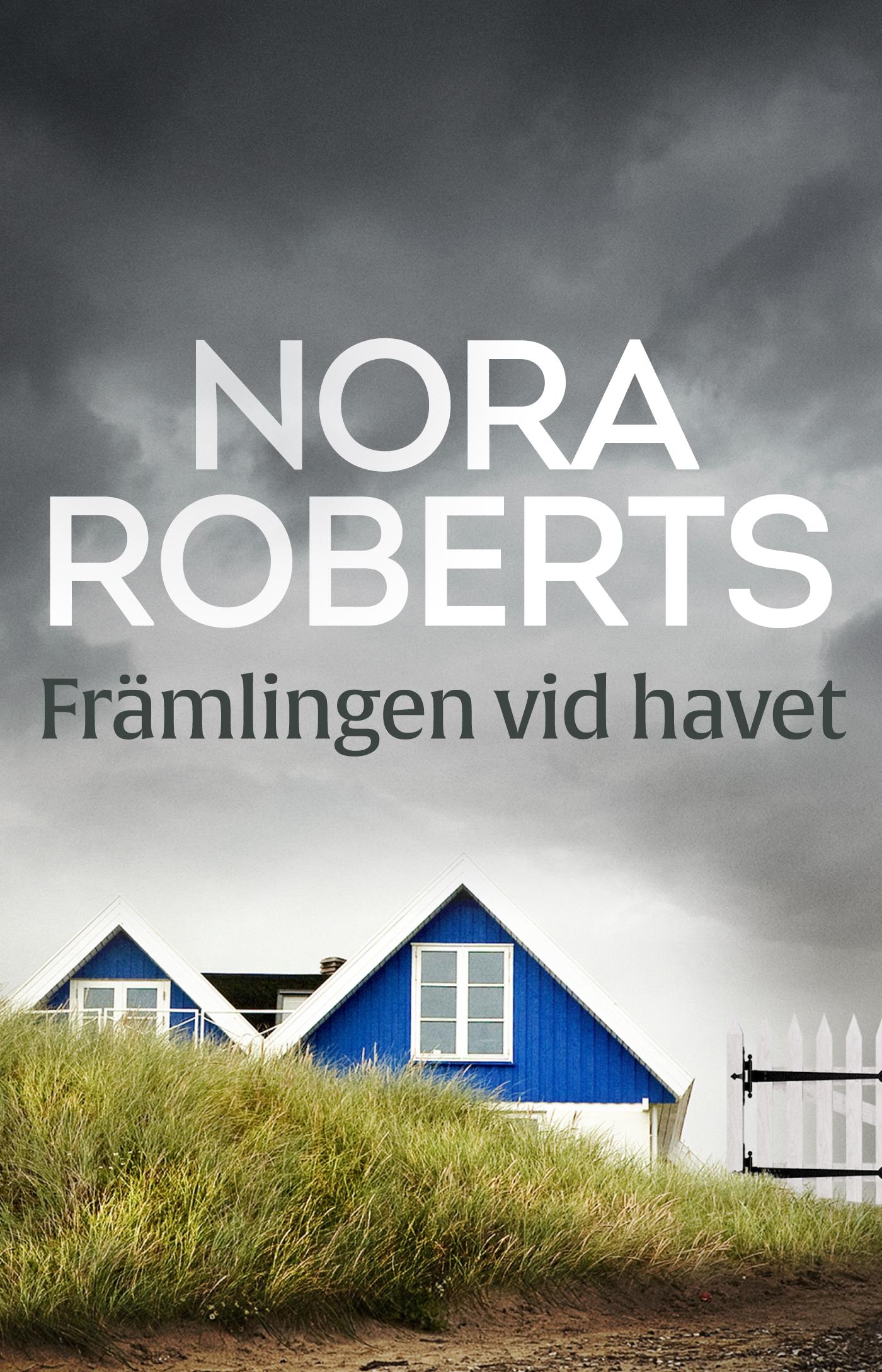 Främlingen vid havet – E-bok