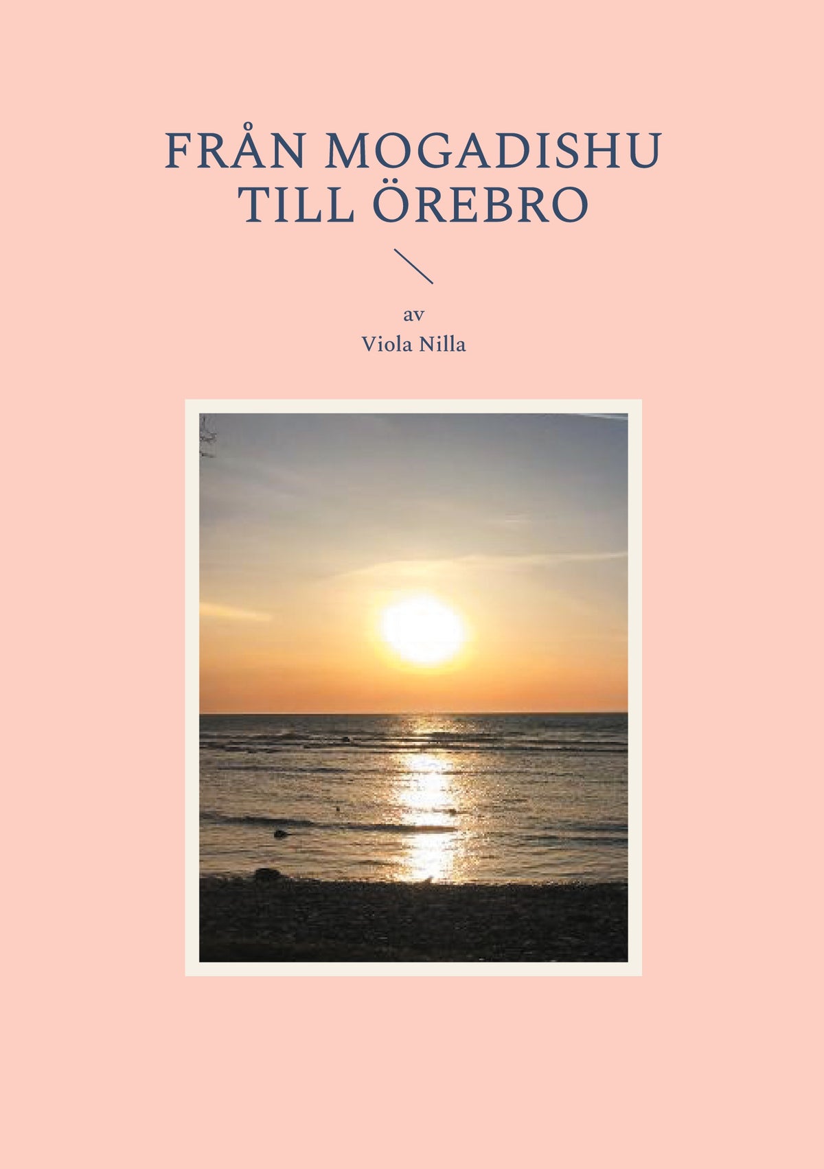 Från Mogadishu till Örebro – E-bok