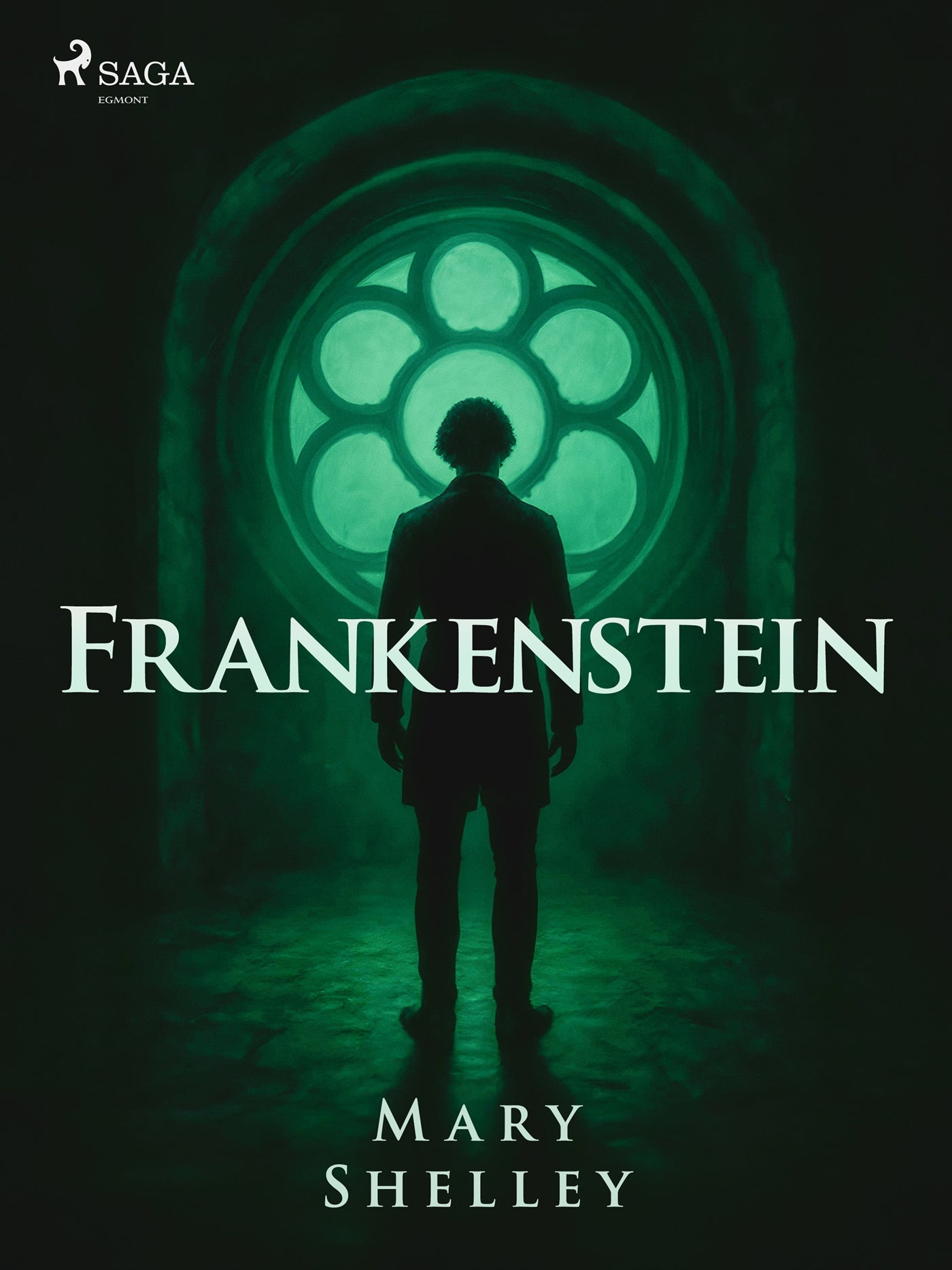 Frankenstein – E-bok