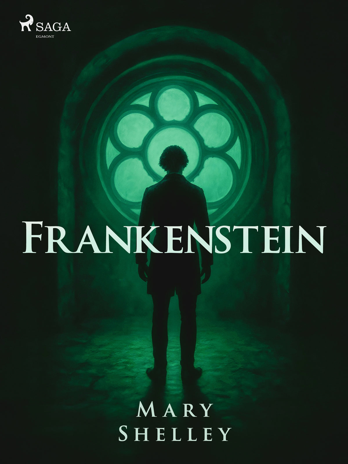 Frankenstein – E-bok