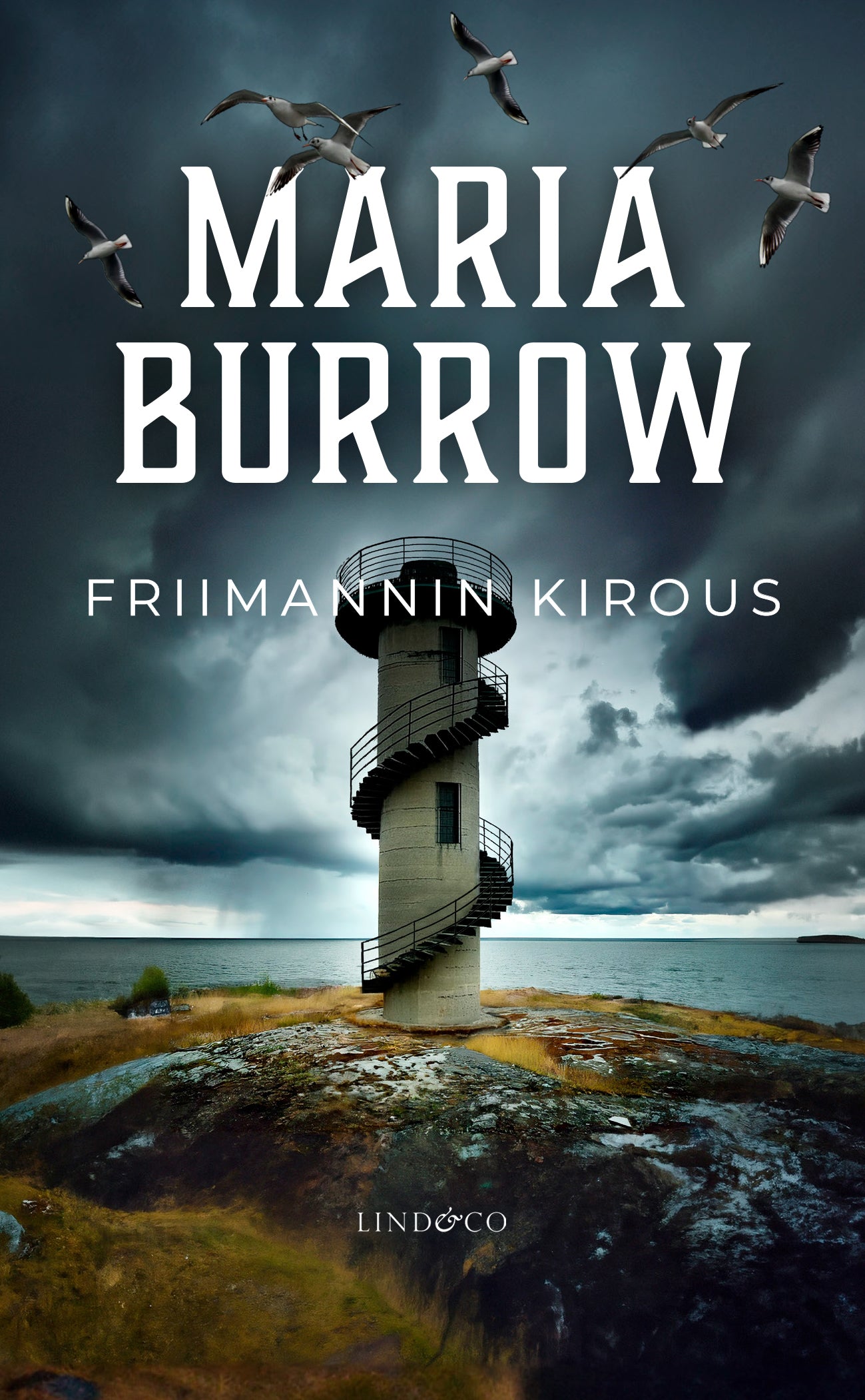 Friimannin kirous – E-bok