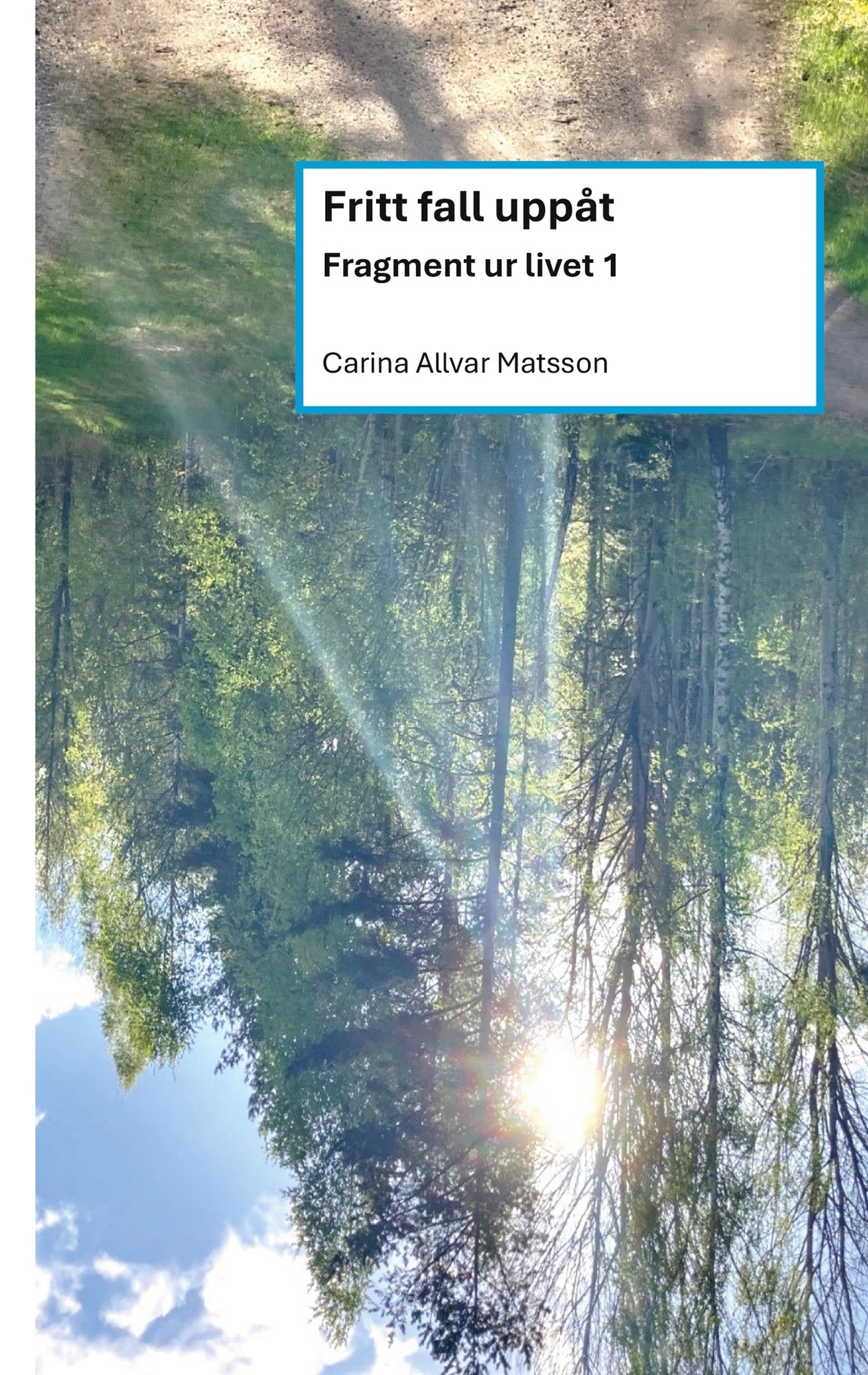 Fritt fall uppåt: Fragment ur livet 1 – E-bok