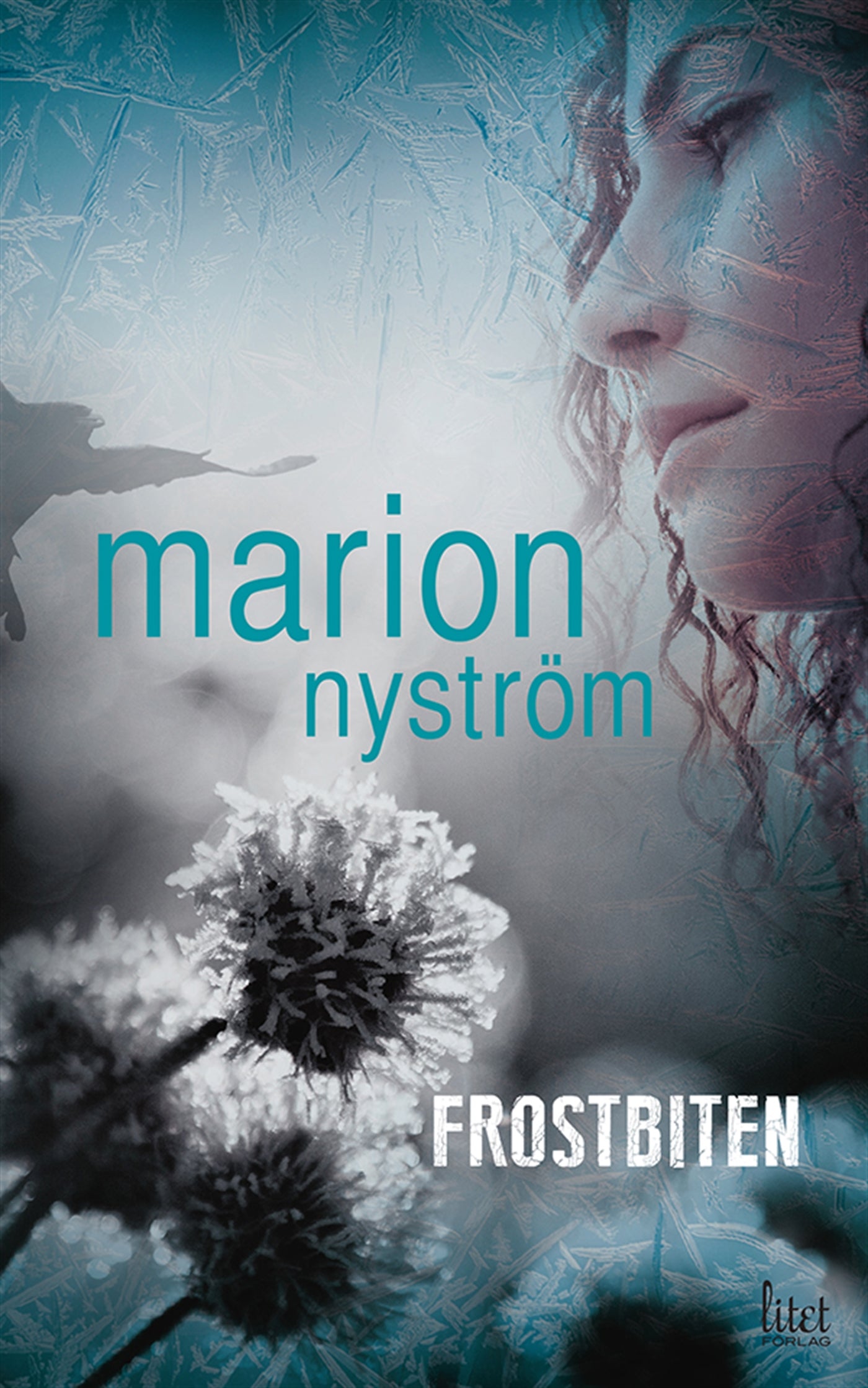 Frostbiten – E-bok