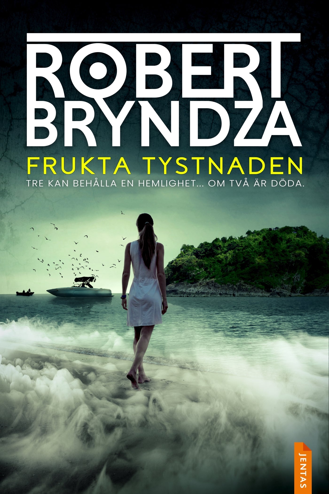 Frukta tystnaden – E-bok