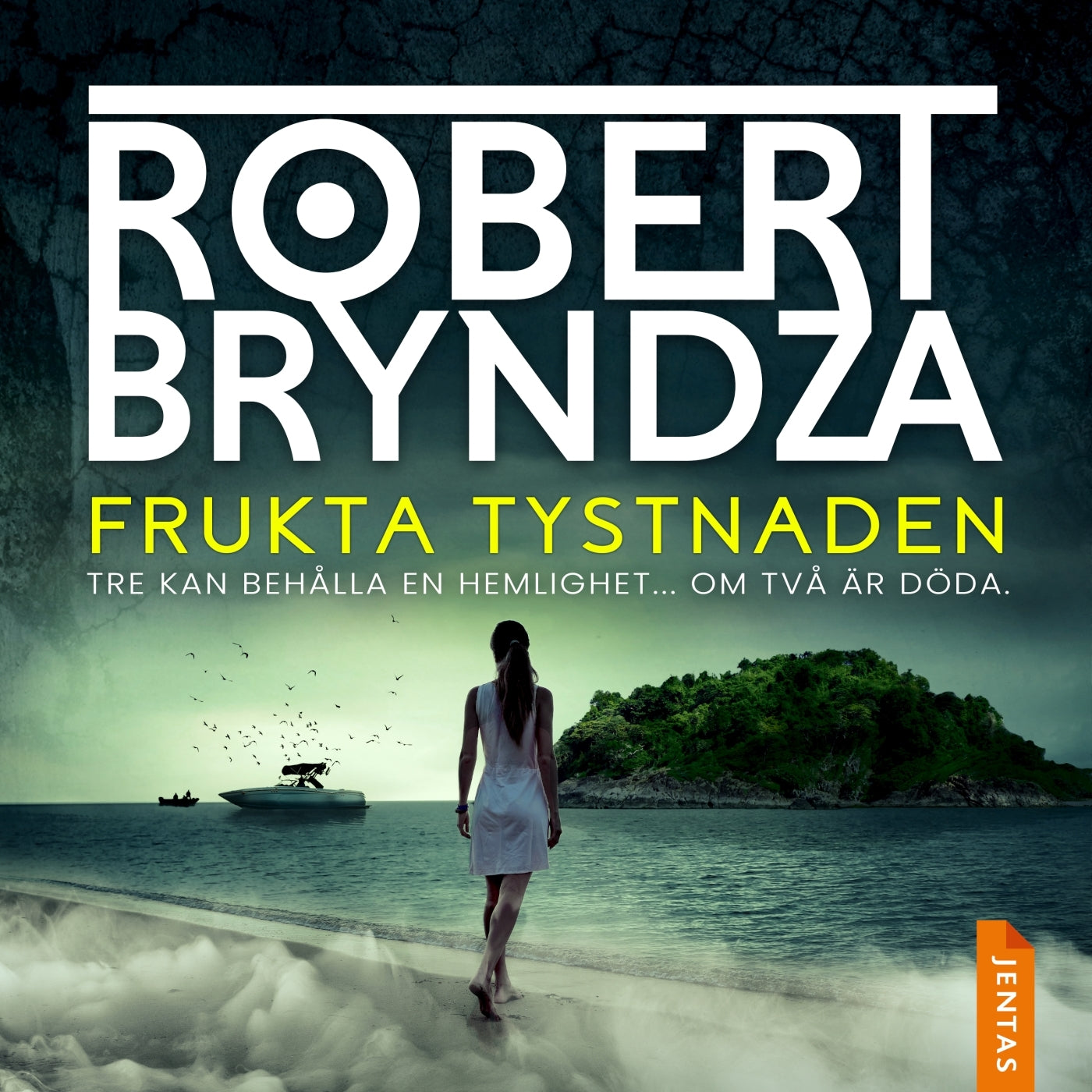 Frukta tystnaden – Ljudbok