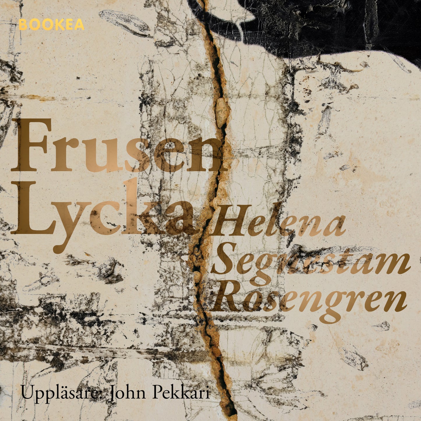 Frusen lycka – Ljudbok