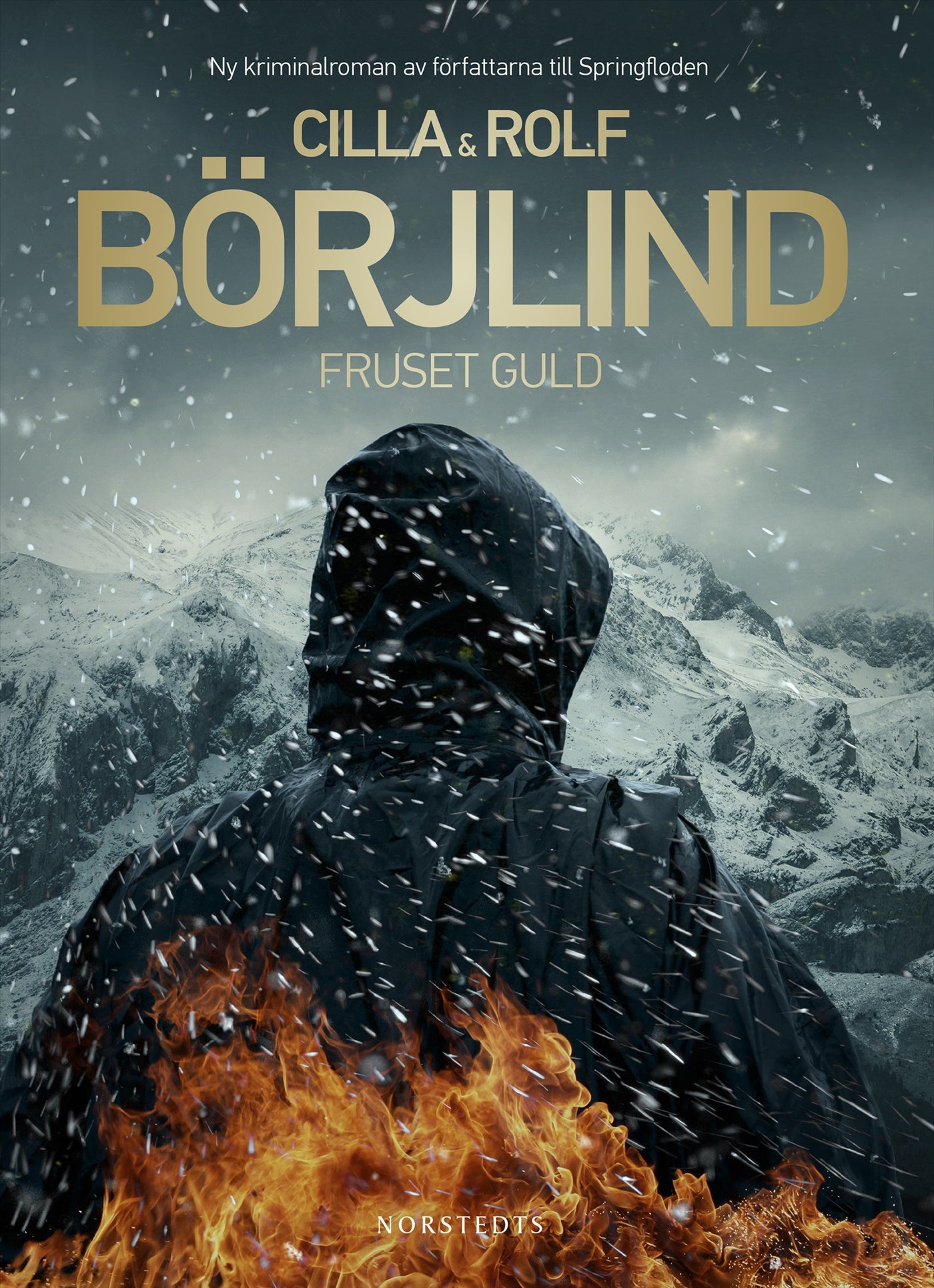 Fruset guld – E-bok
