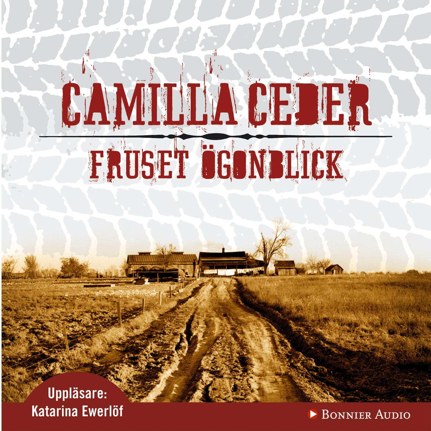 Fruset ögonblick – Ljudbok