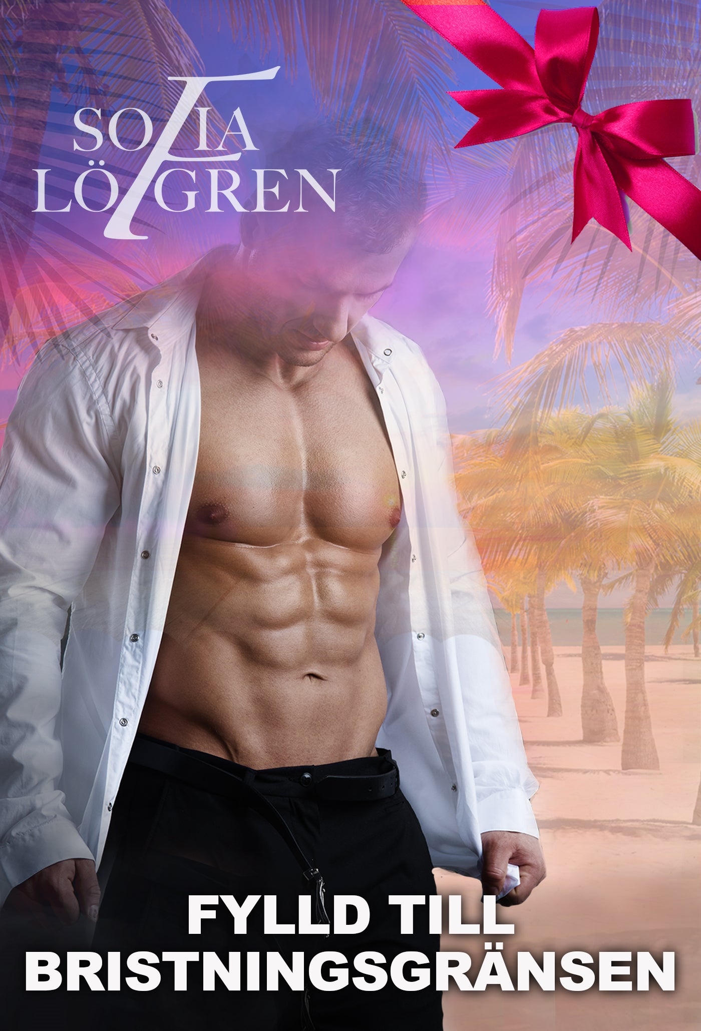 Fylld till bristningsgränsen – E-bok