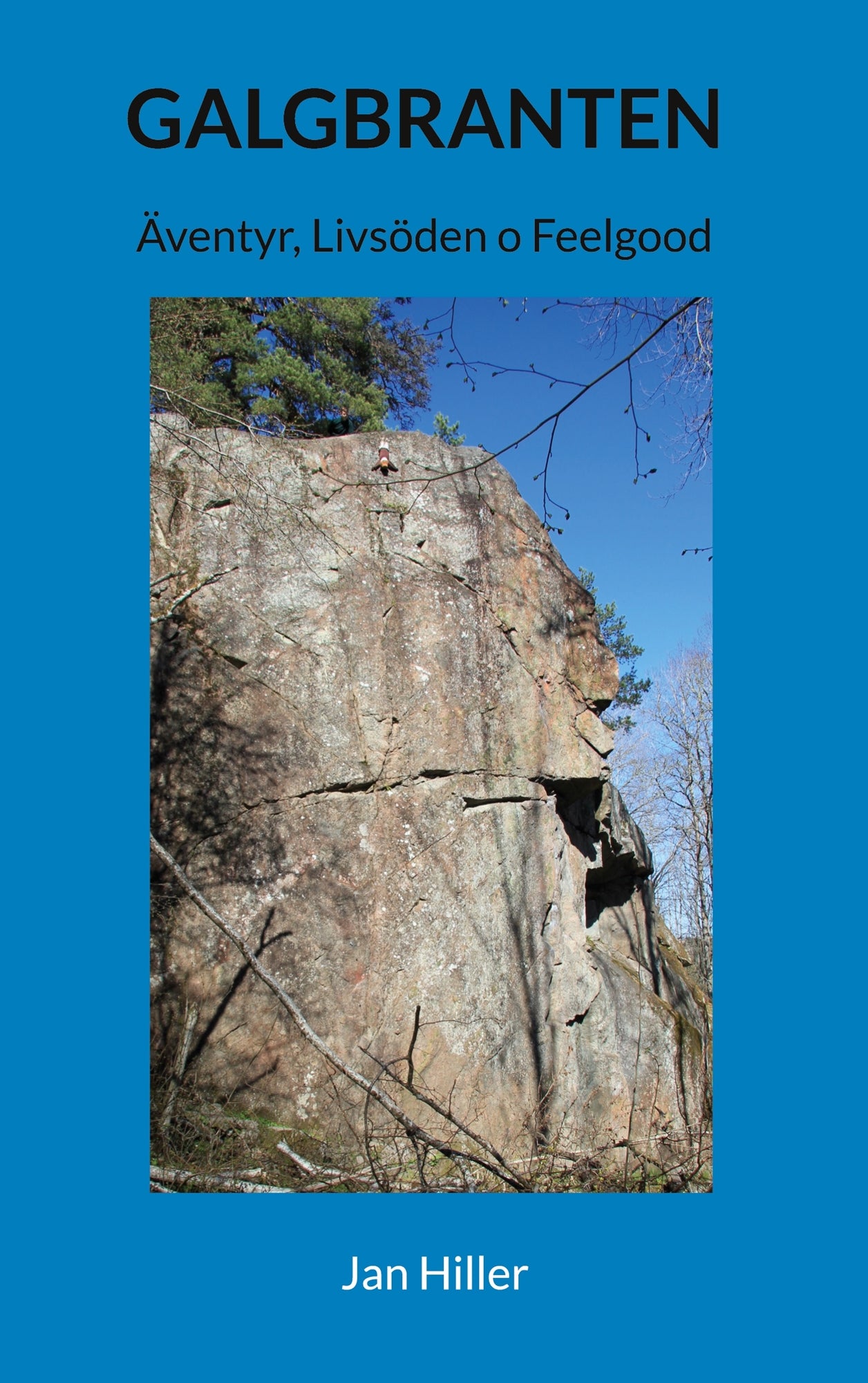 Galgbranten – E-bok