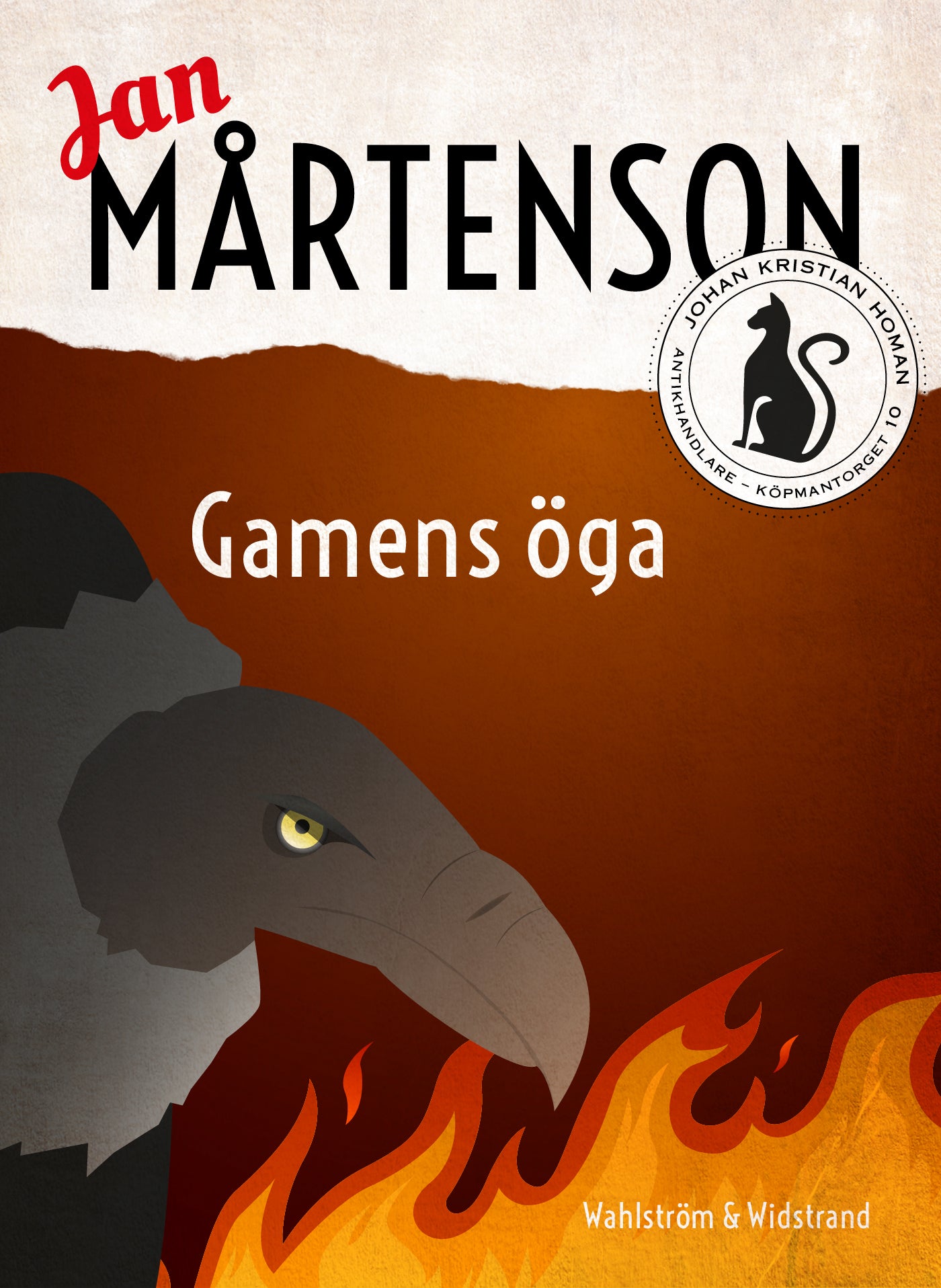 Gamens öga – E-bok