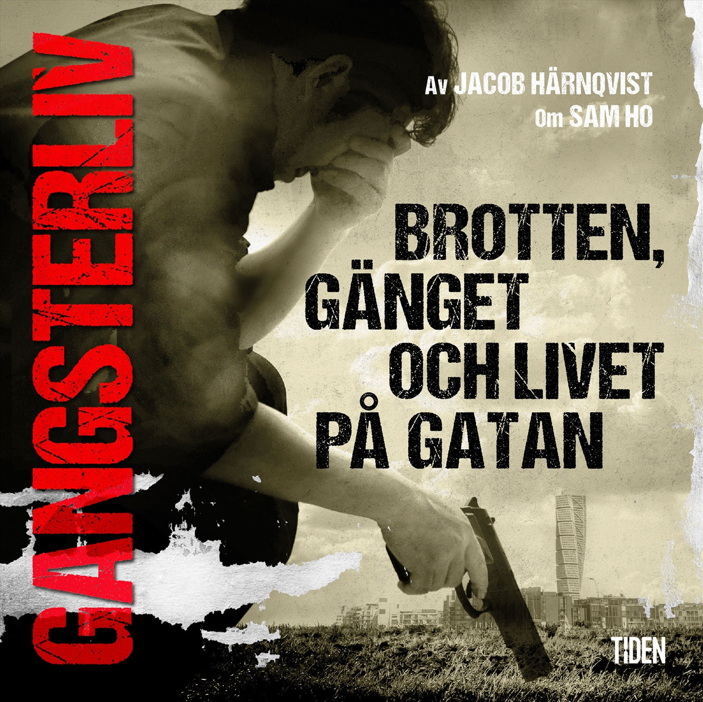 Gangsterliv : Brotten, gänget och livet på gatan – Ljudbok