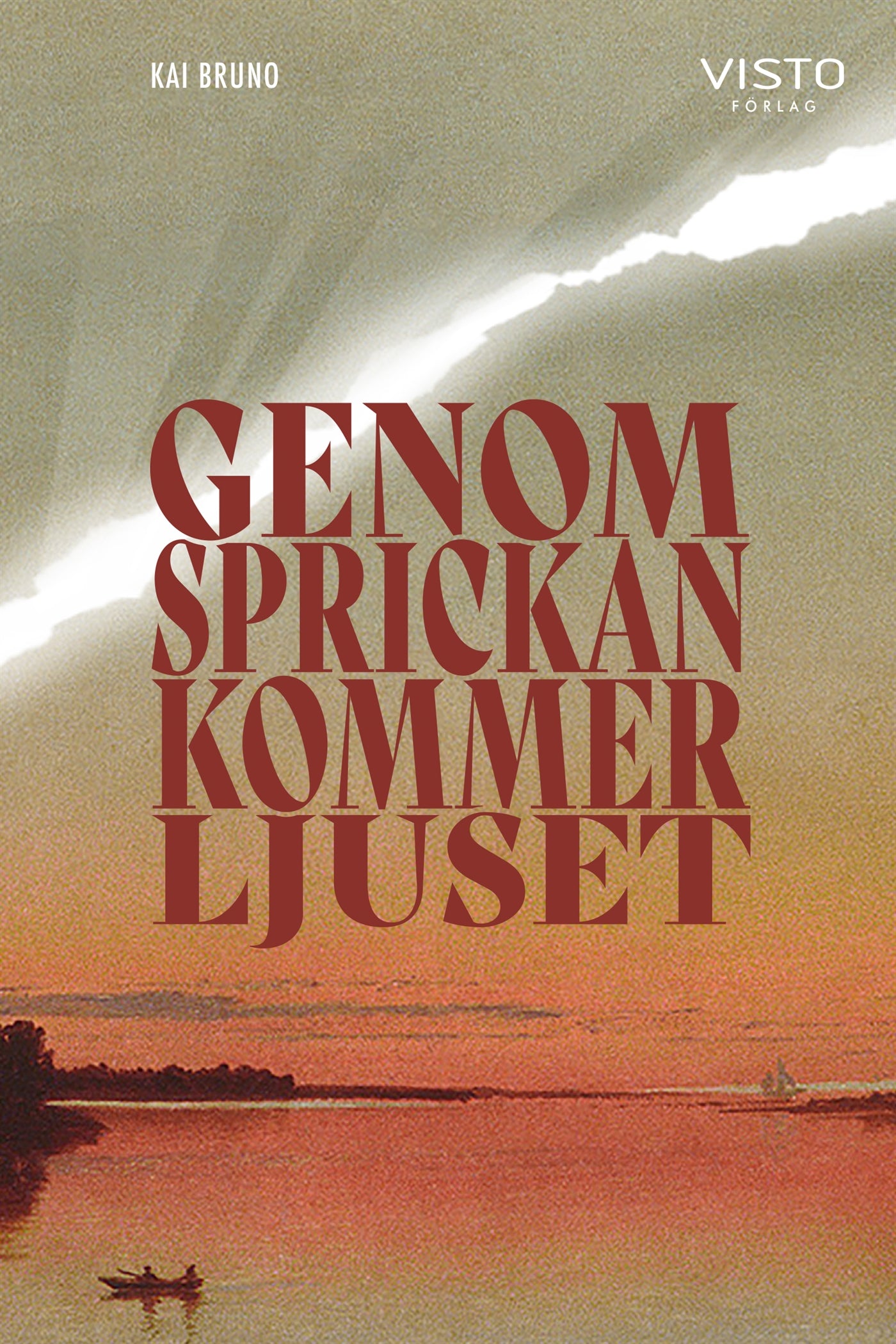 Genom sprickan kommer ljuset – E-bok