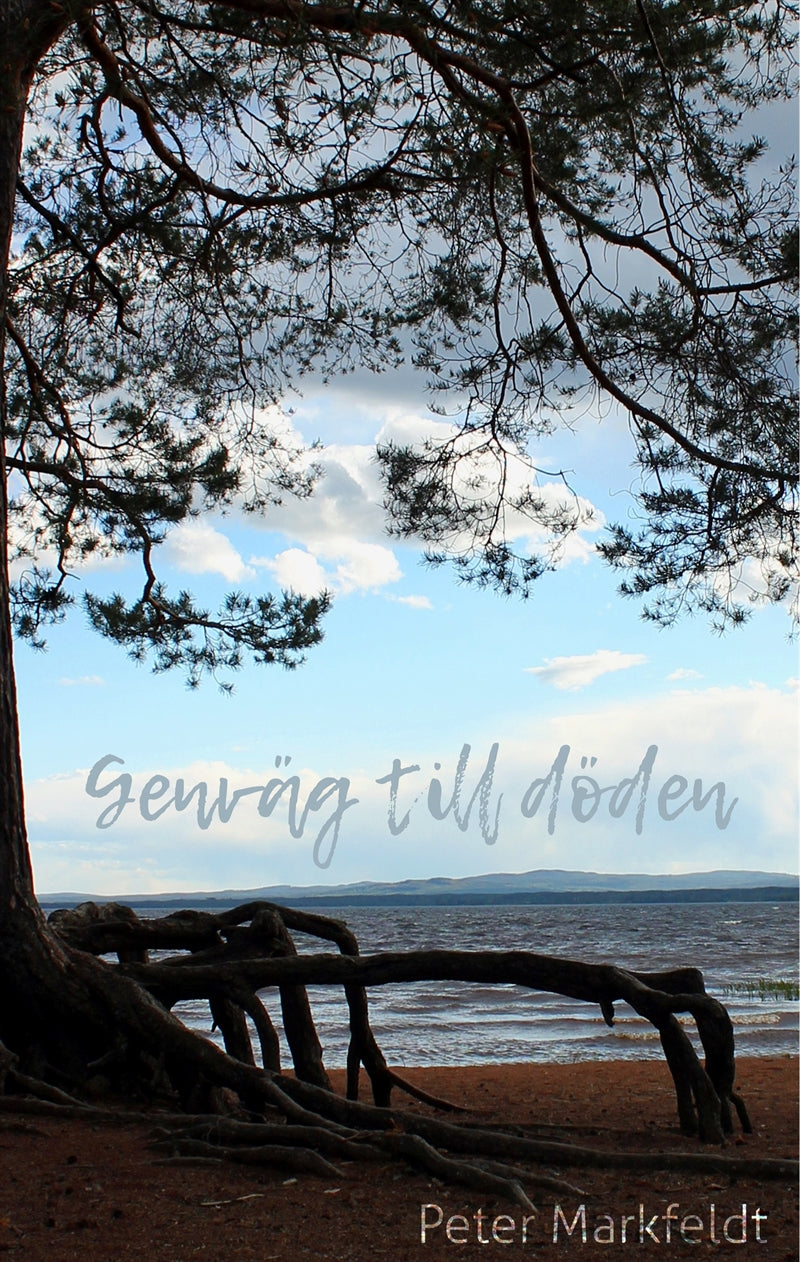 Genväg till döden – E-bok