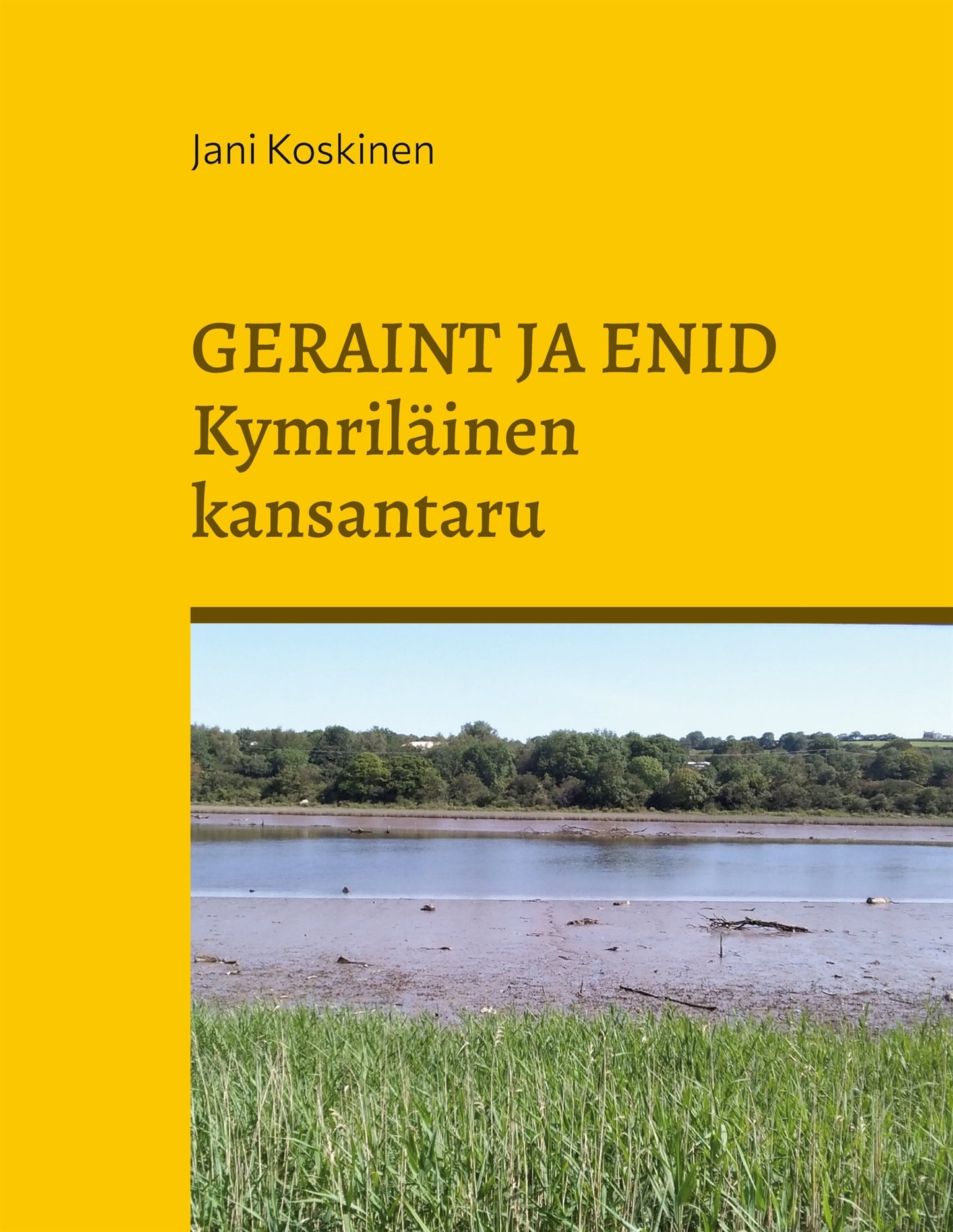Geraint ja Enid - kymriläinen kansantaru – E-bok
