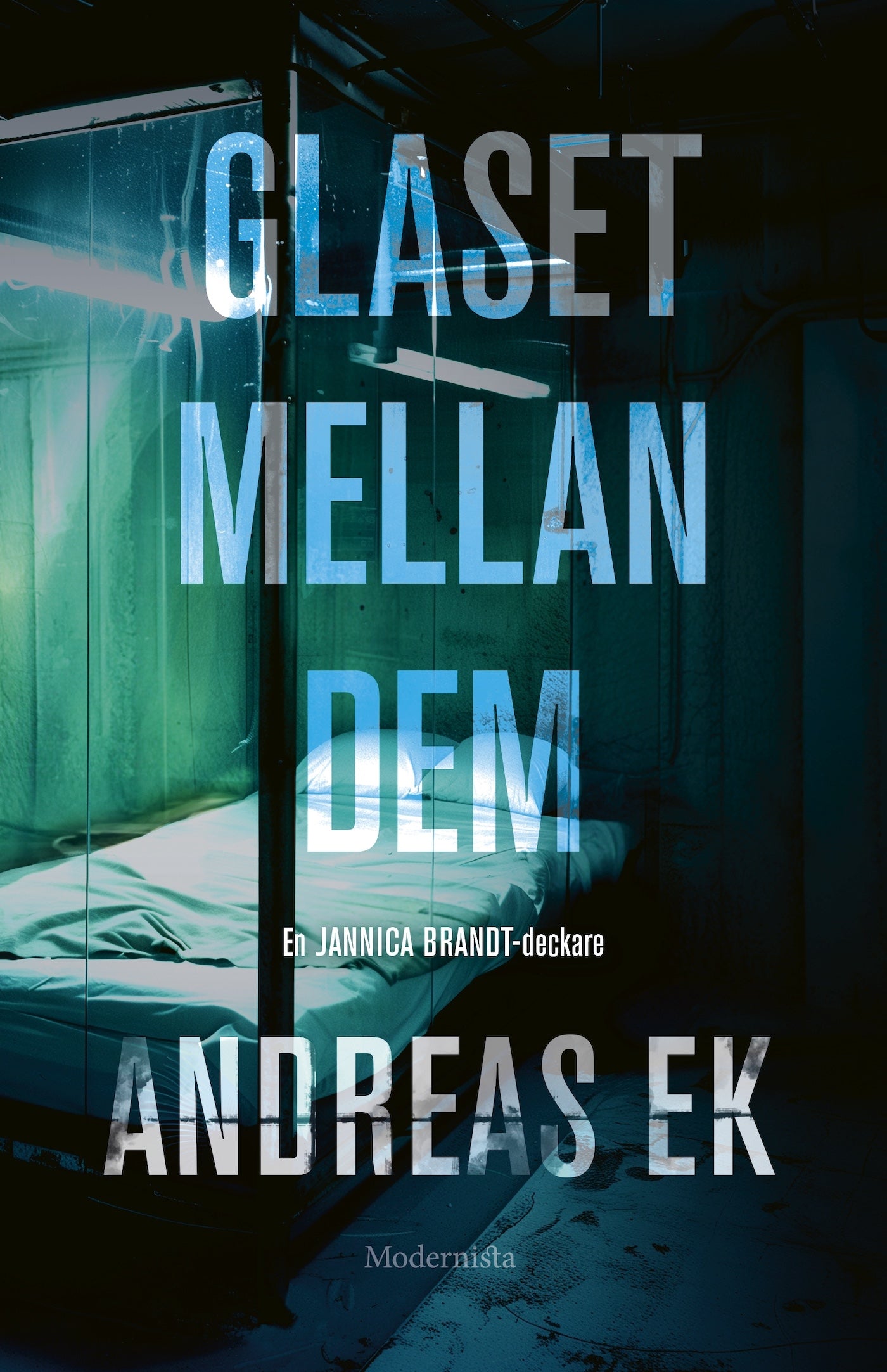 Glaset mellan dem – E-bok