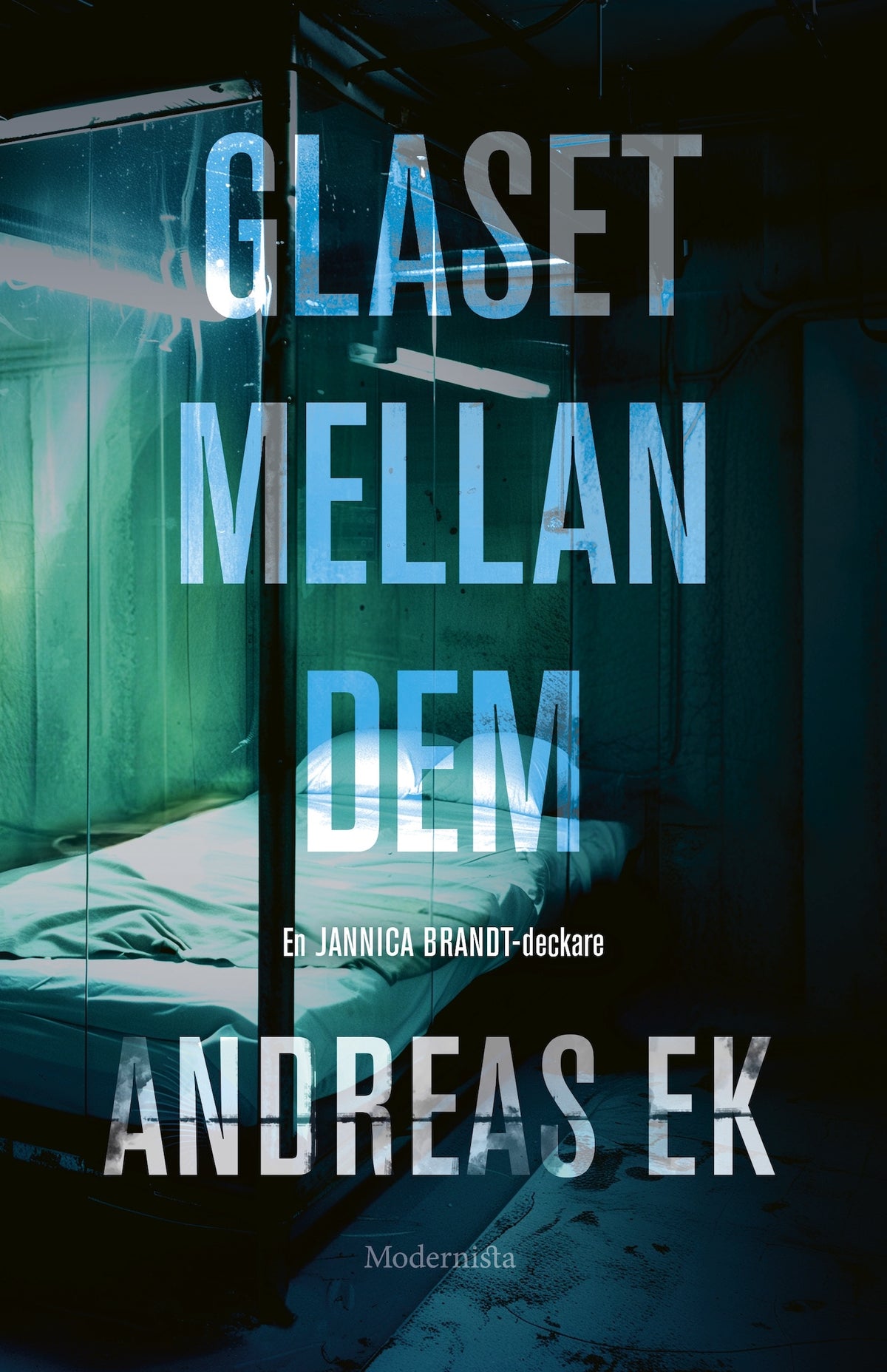 Glaset mellan dem – E-bok
