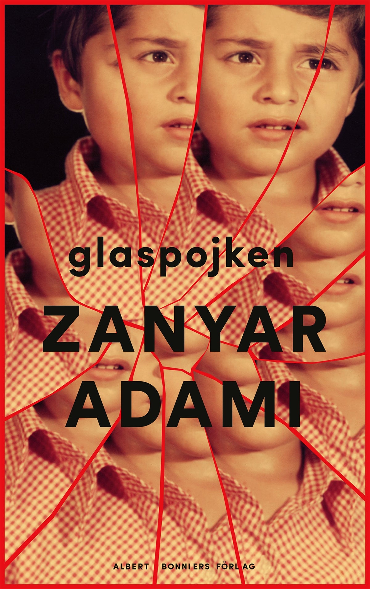 Glaspojken – E-bok