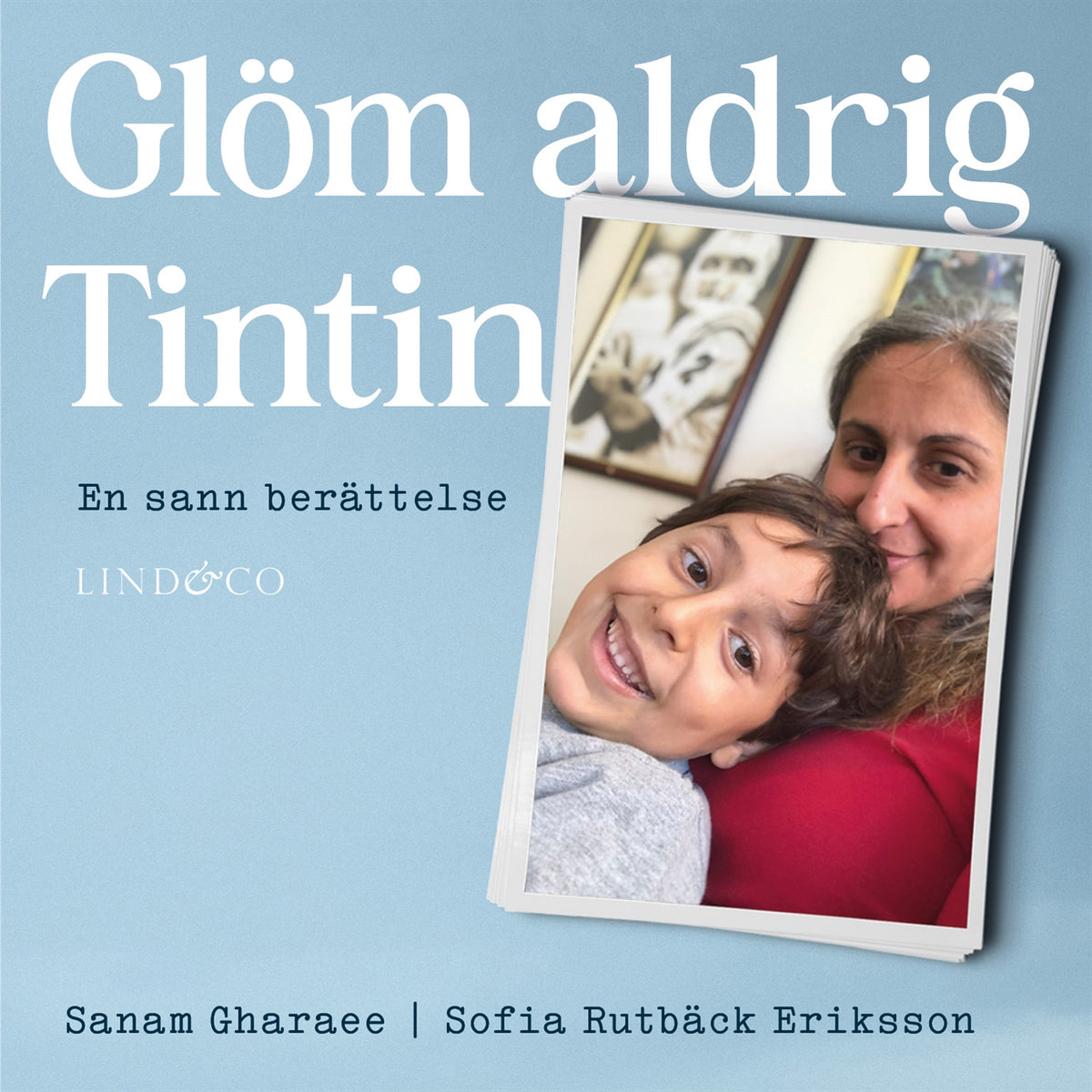 Glöm aldrig Tintin – Ljudbok
