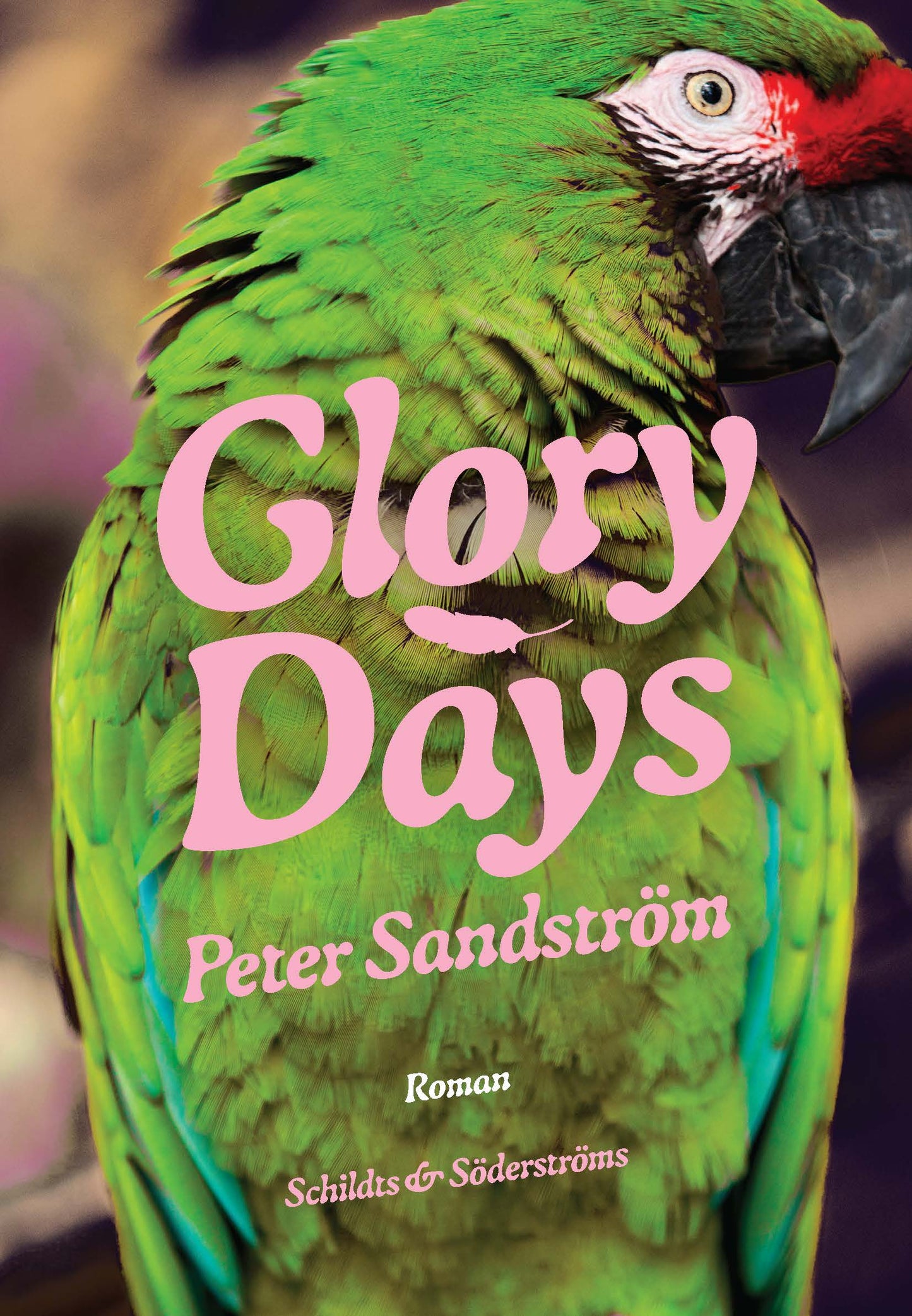 Glory Days – E-bok