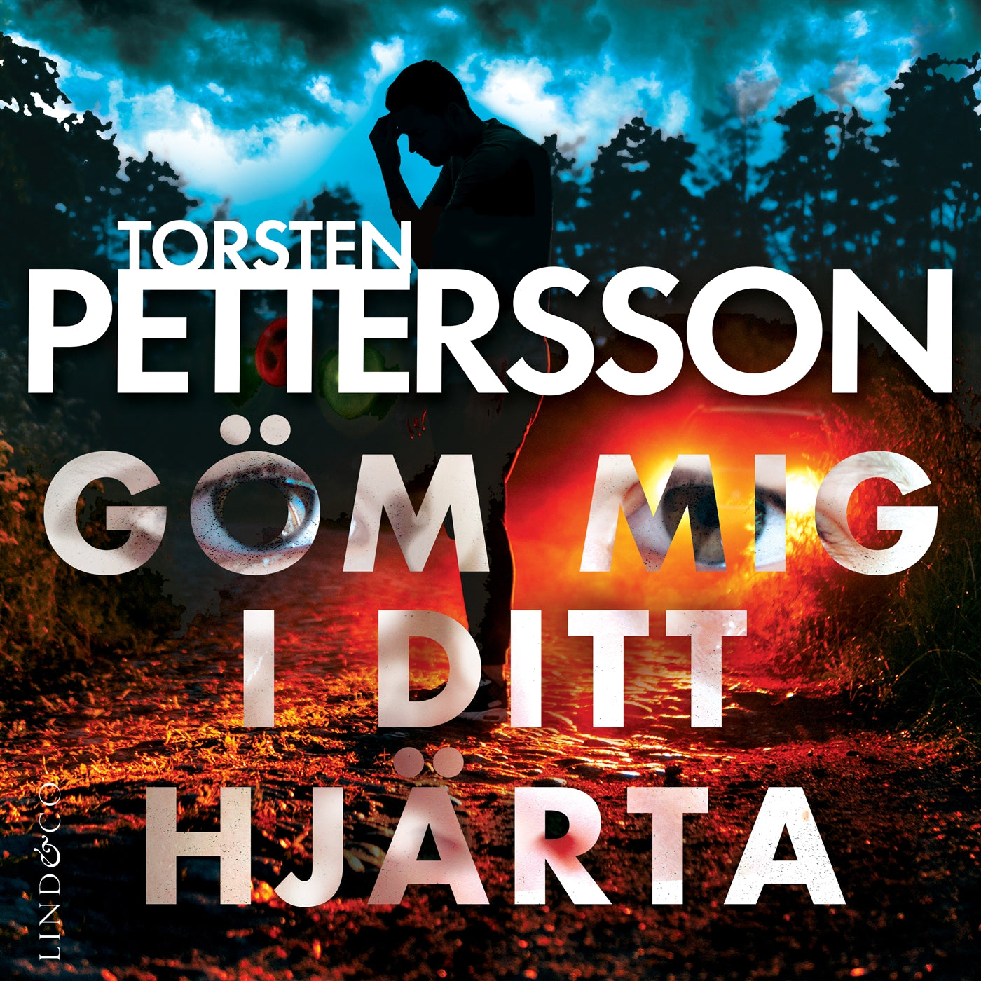 Göm mig i ditt hjärta – Ljudbok