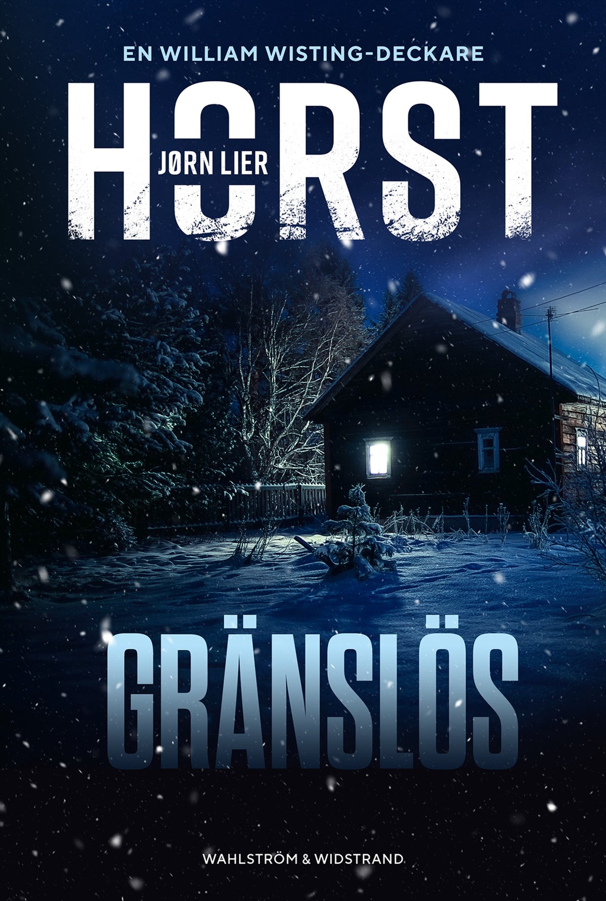 Gränslös – E-bok