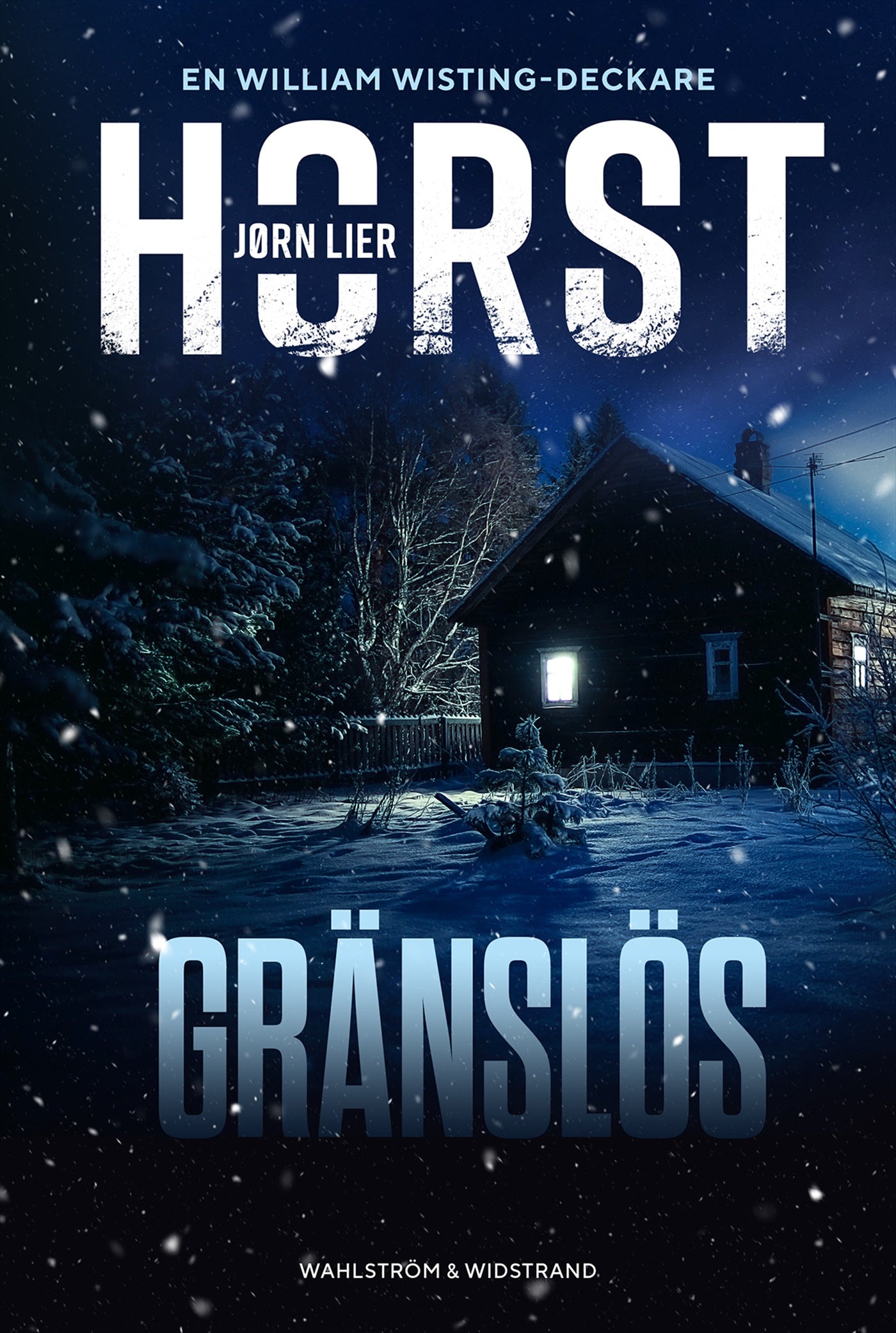 Gränslös – E-bok