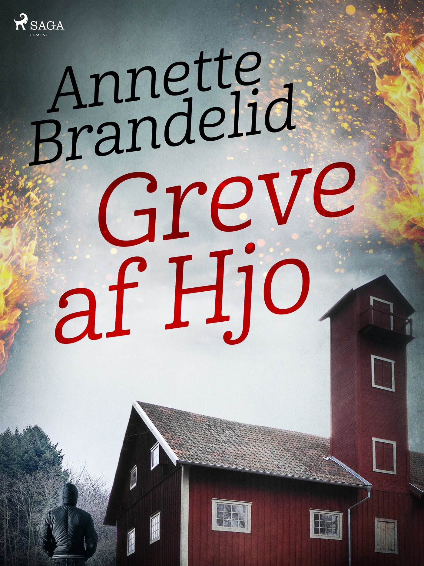 Greve af Hjo – E-bok