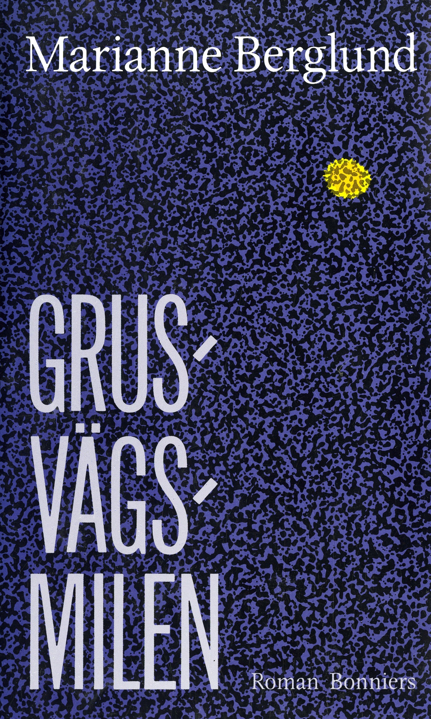 Grusvägsmilen – E-bok