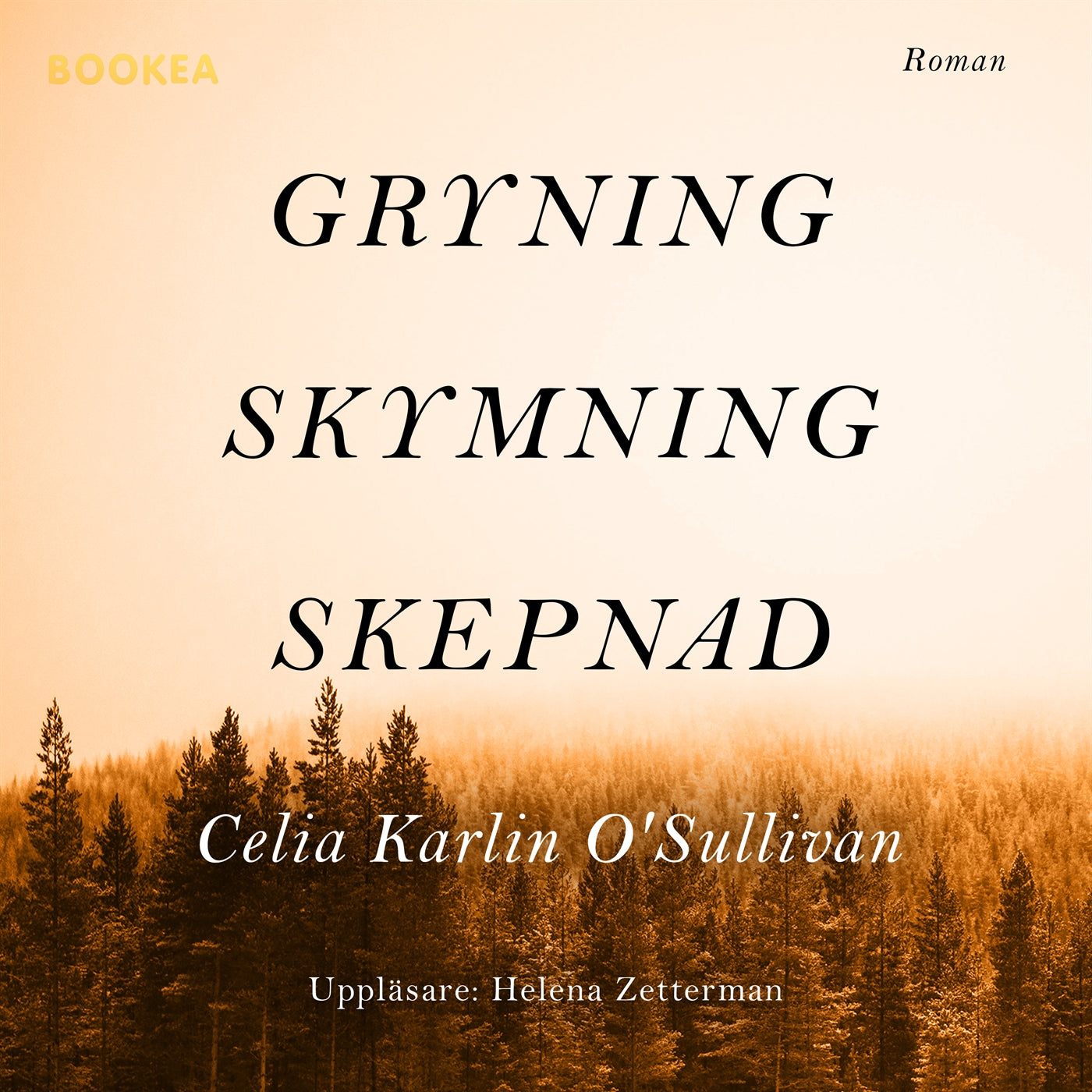 Gryning, skymning, skepnad – Ljudbok