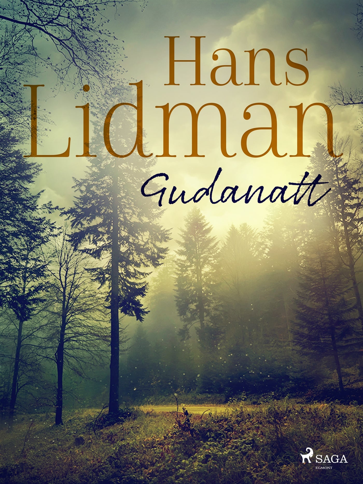 Gudanatt – E-bok