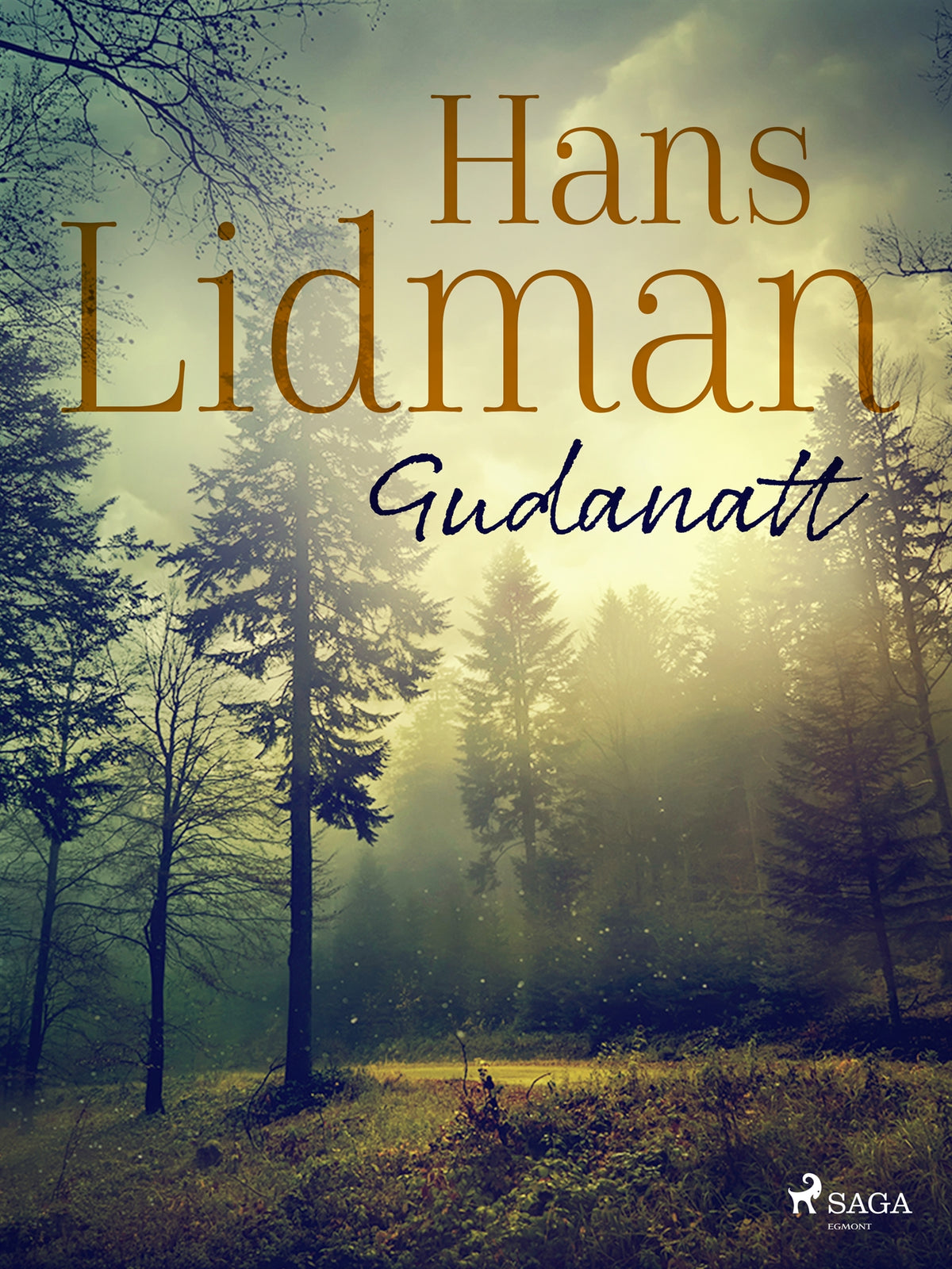 Gudanatt – E-bok