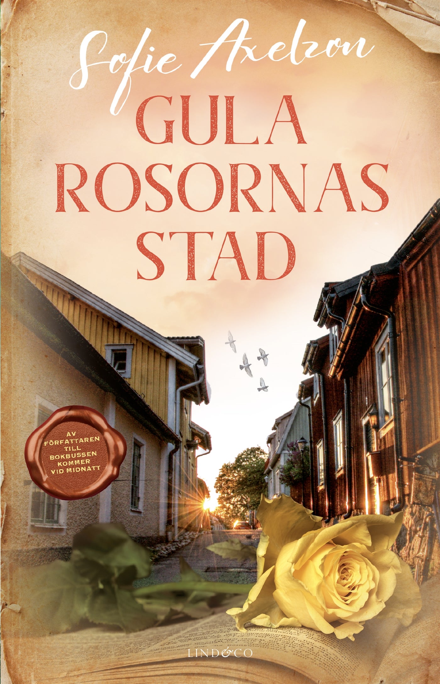 Gula rosornas stad – E-bok