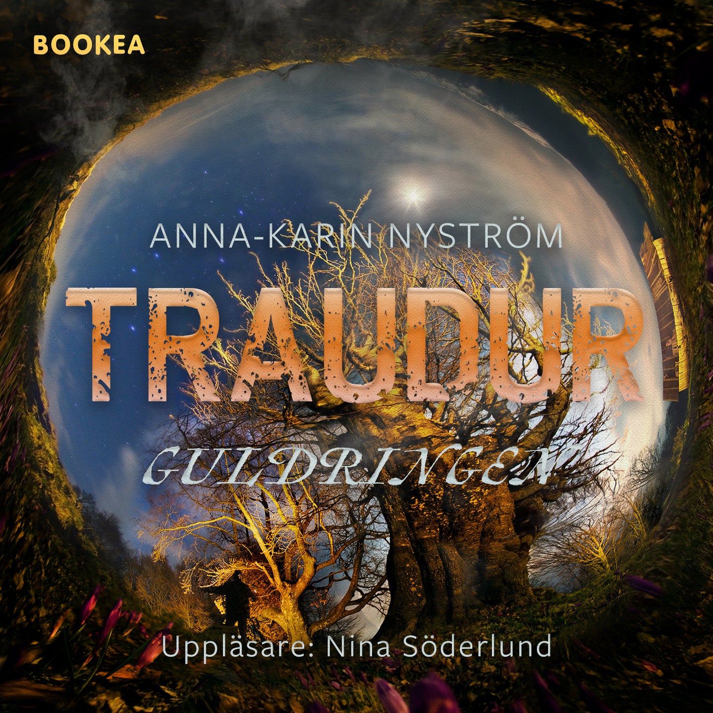 Guldringen – Ljudbok