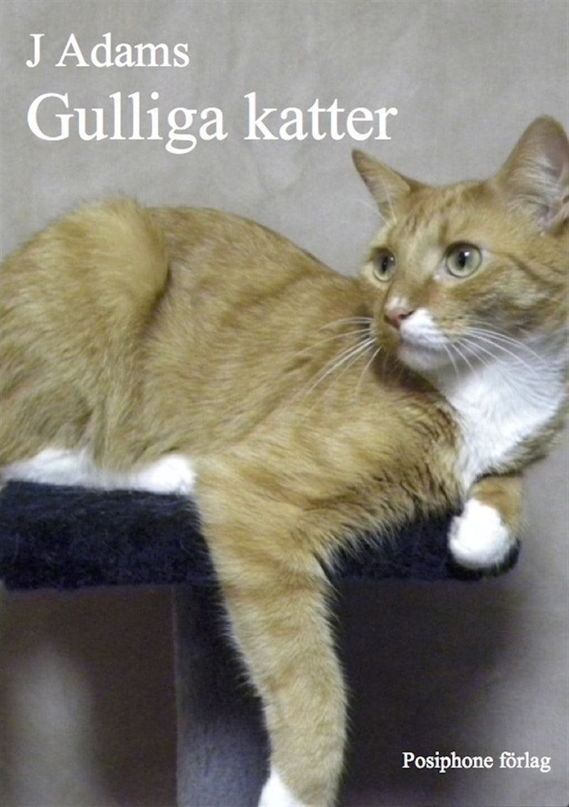Gulliga katter – E-bok