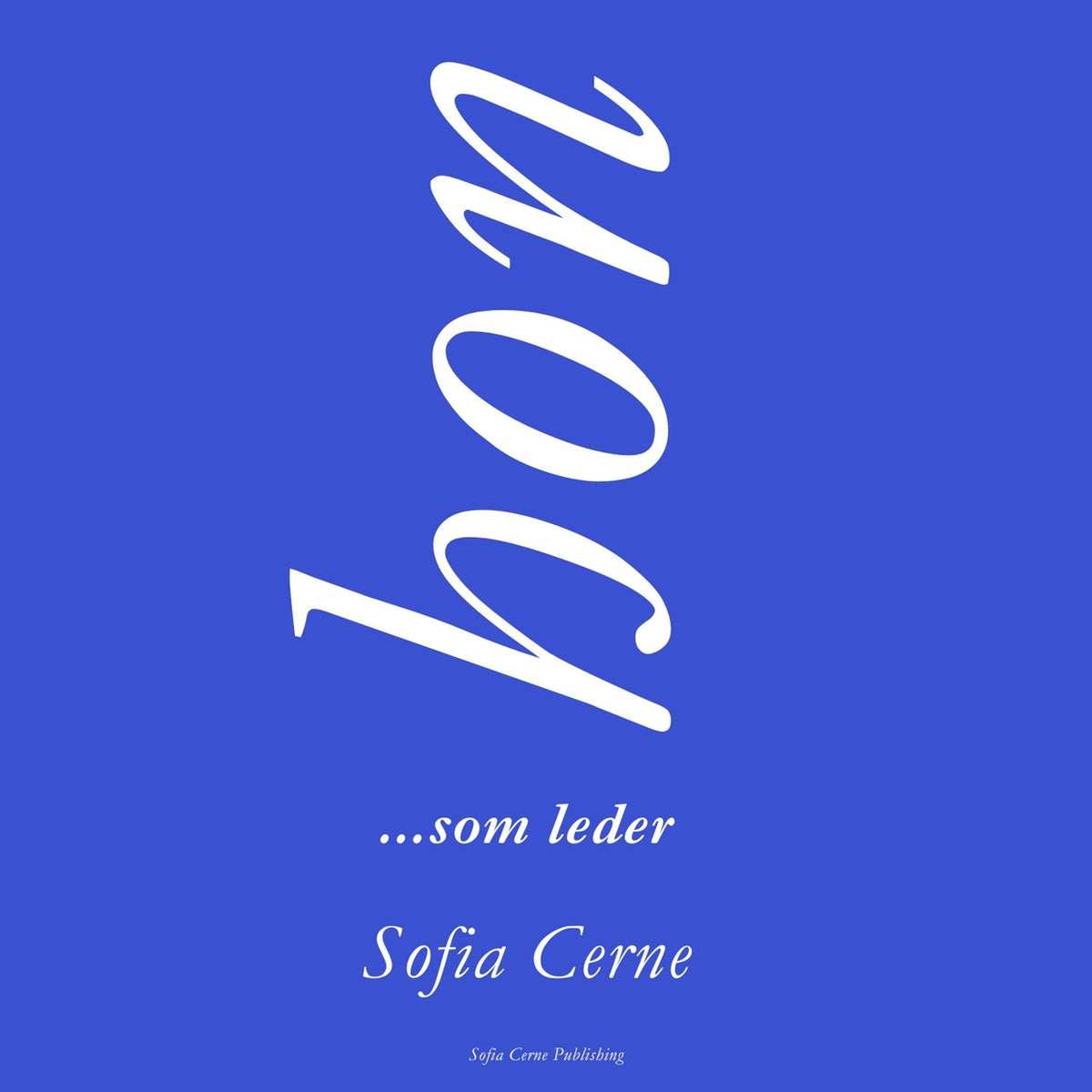 HON...som leder Feminin kraft & ledarskap – E-bok