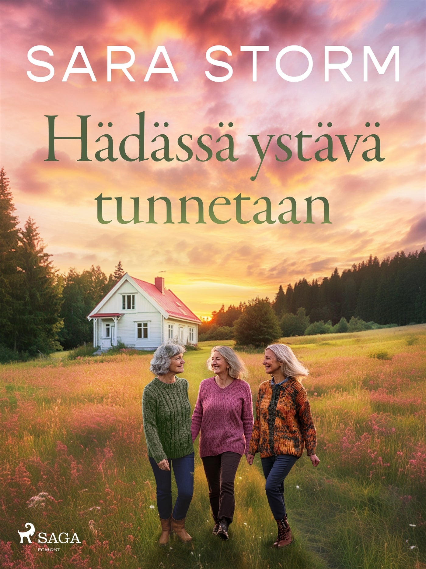 Hädässä ystävä tunnetaan – E-bok