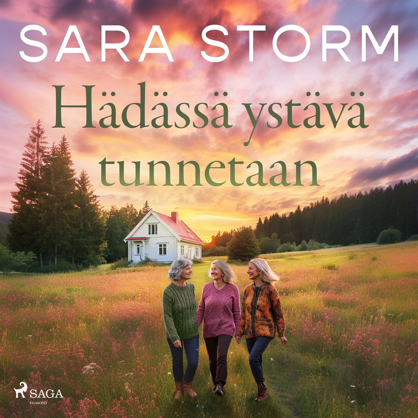 Hädässä ystävä tunnetaan – Ljudbok