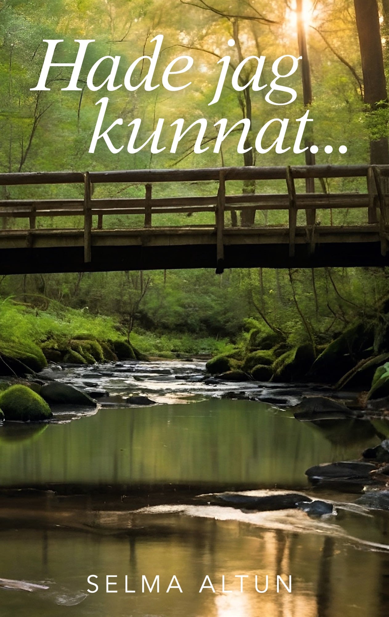 Hade jag kunnat – E-bok